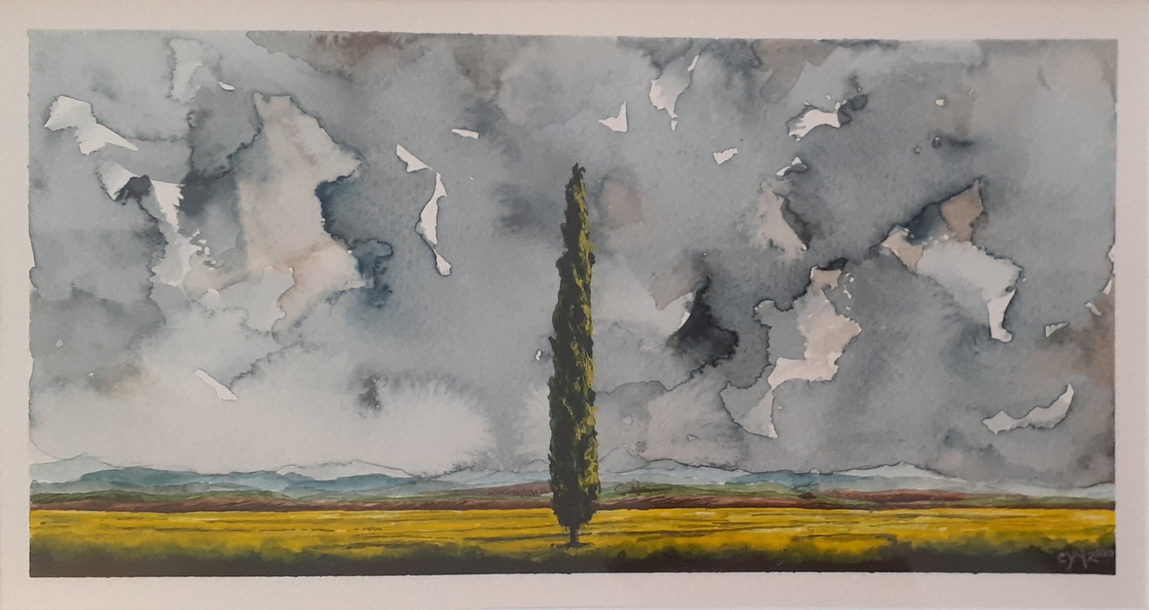 'Tuscan Tree: Umbria Fantasia' - study
