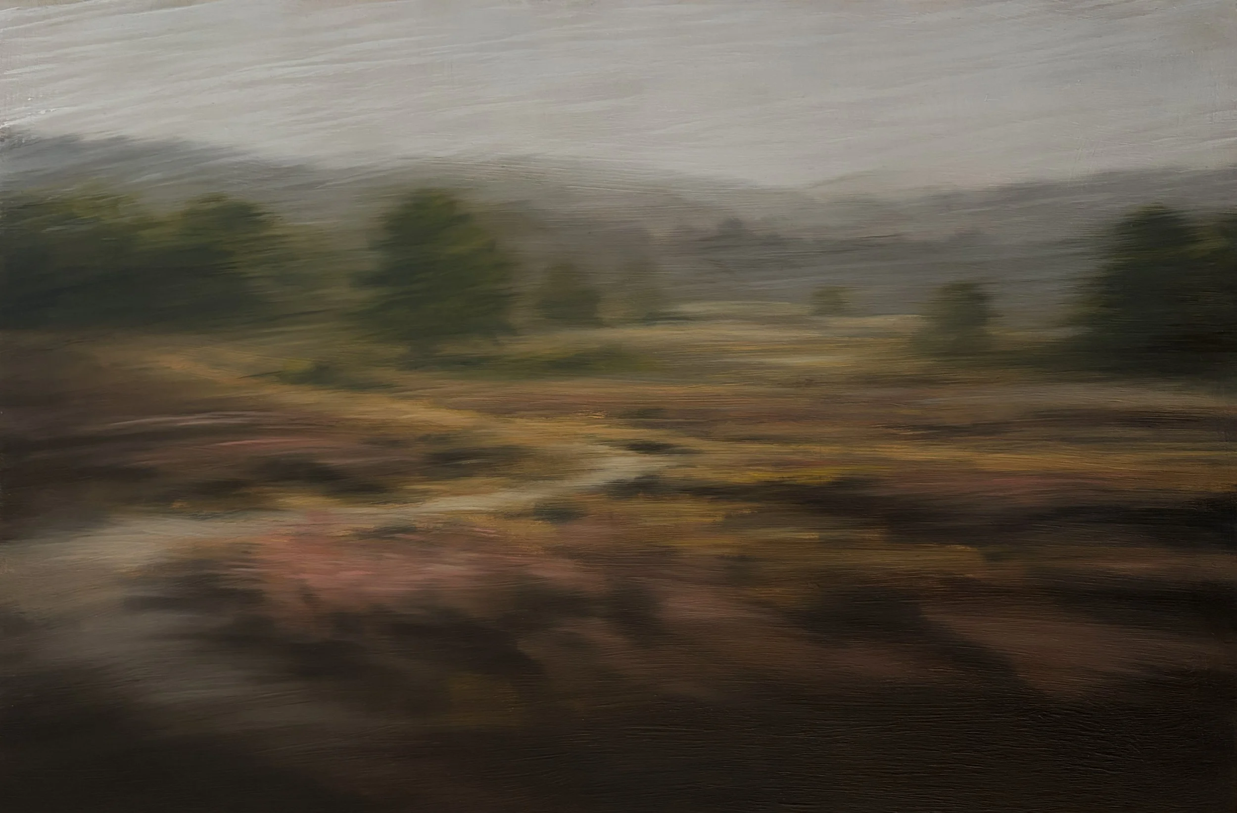 Thursley Common, Surrey, England (for V.F.), 2026