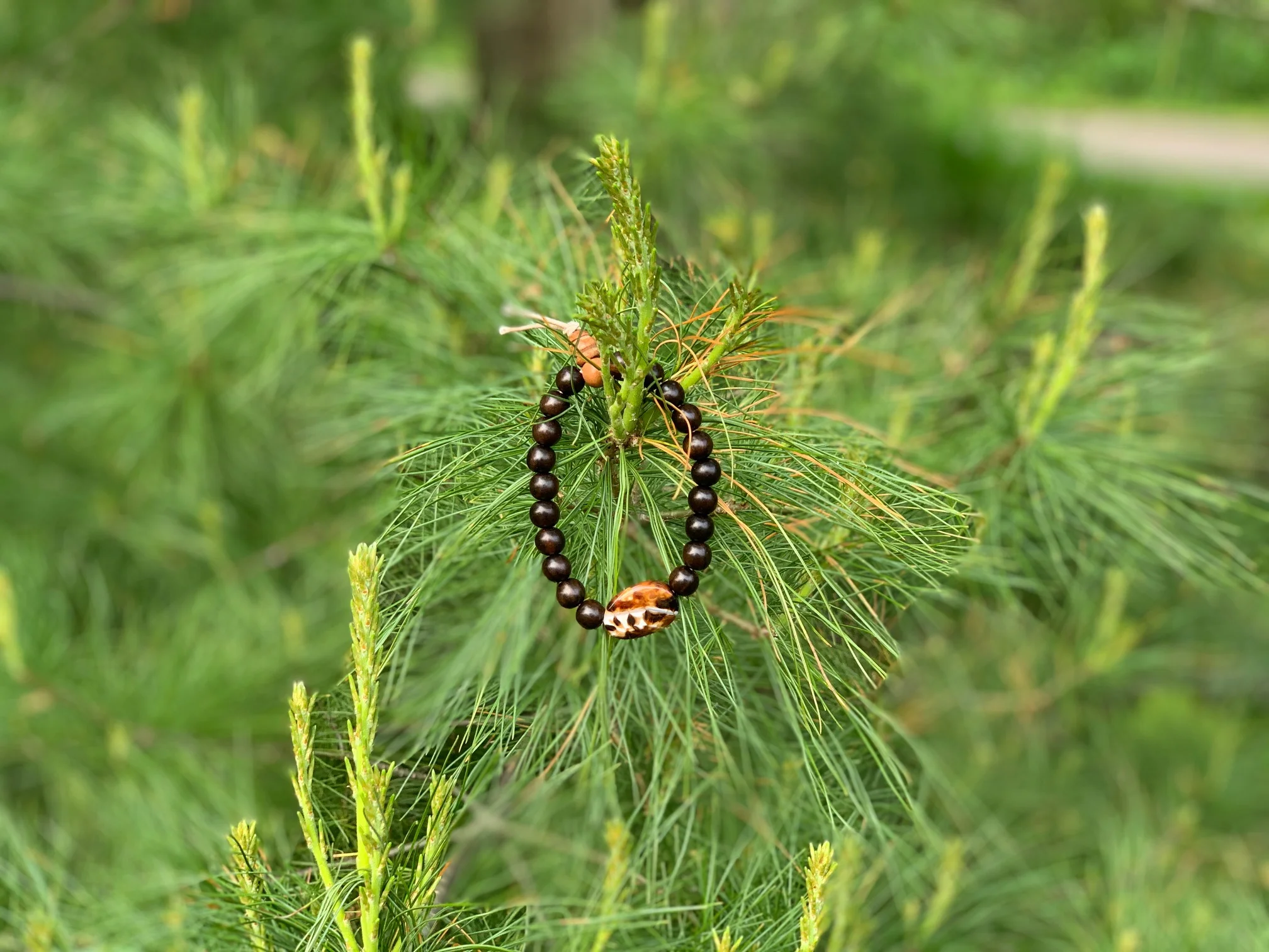 A beaded necklace hanging from a pine tree branch.