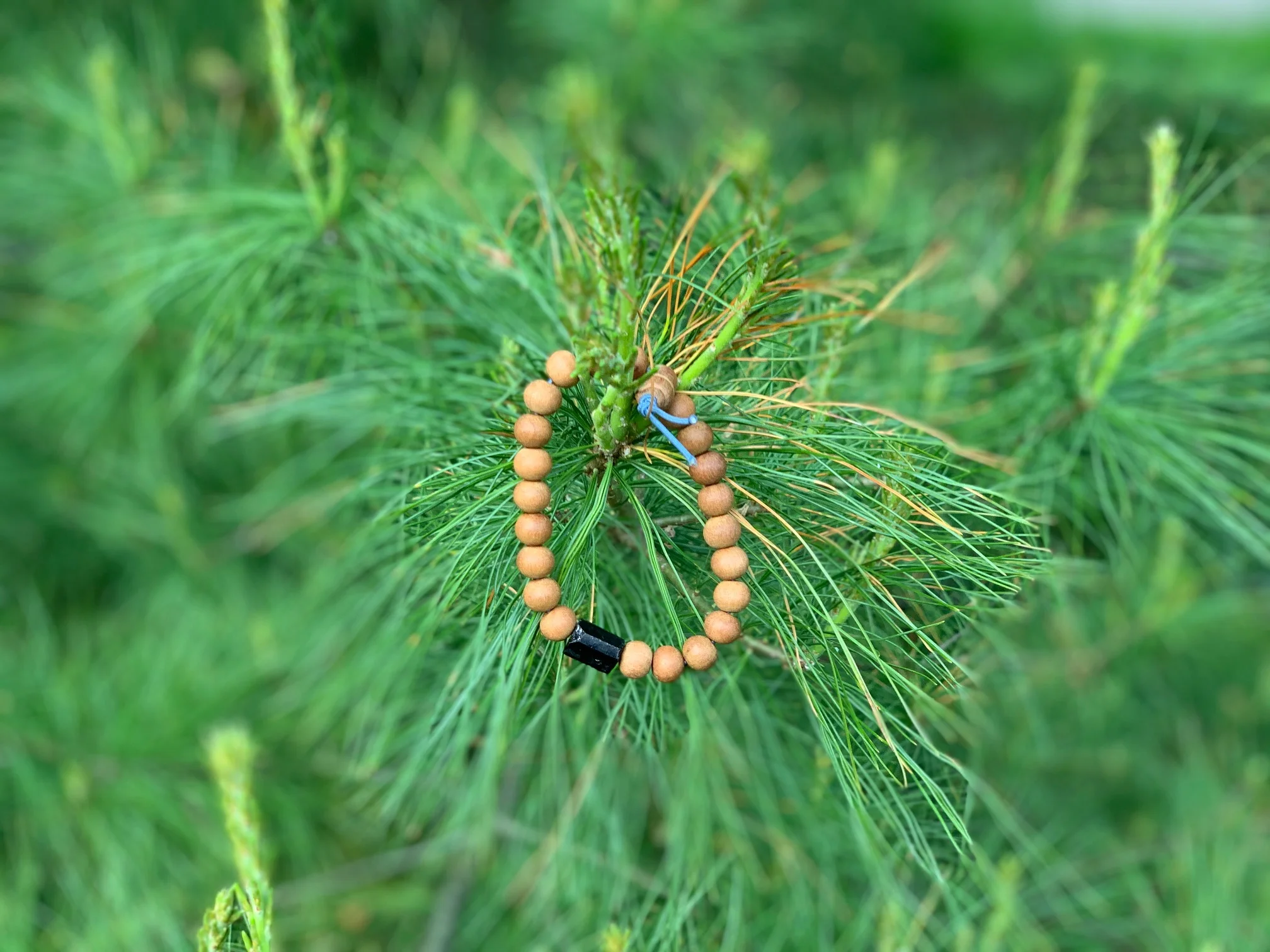 A wooden beaded bracelet with a black clasp and a small blue tag is hanging from the green pine branches of a tree.