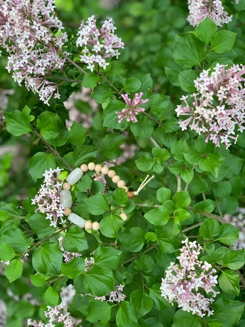 Green bush with pink and white flowers and a beaded bracelet with white and beige beads and a stick with a fork in the center.