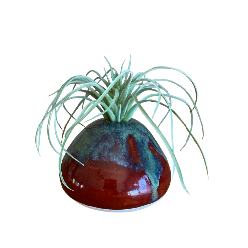 A ceramic pot with a blue and red glaze contains a plant with long, slender, greenish leaves.