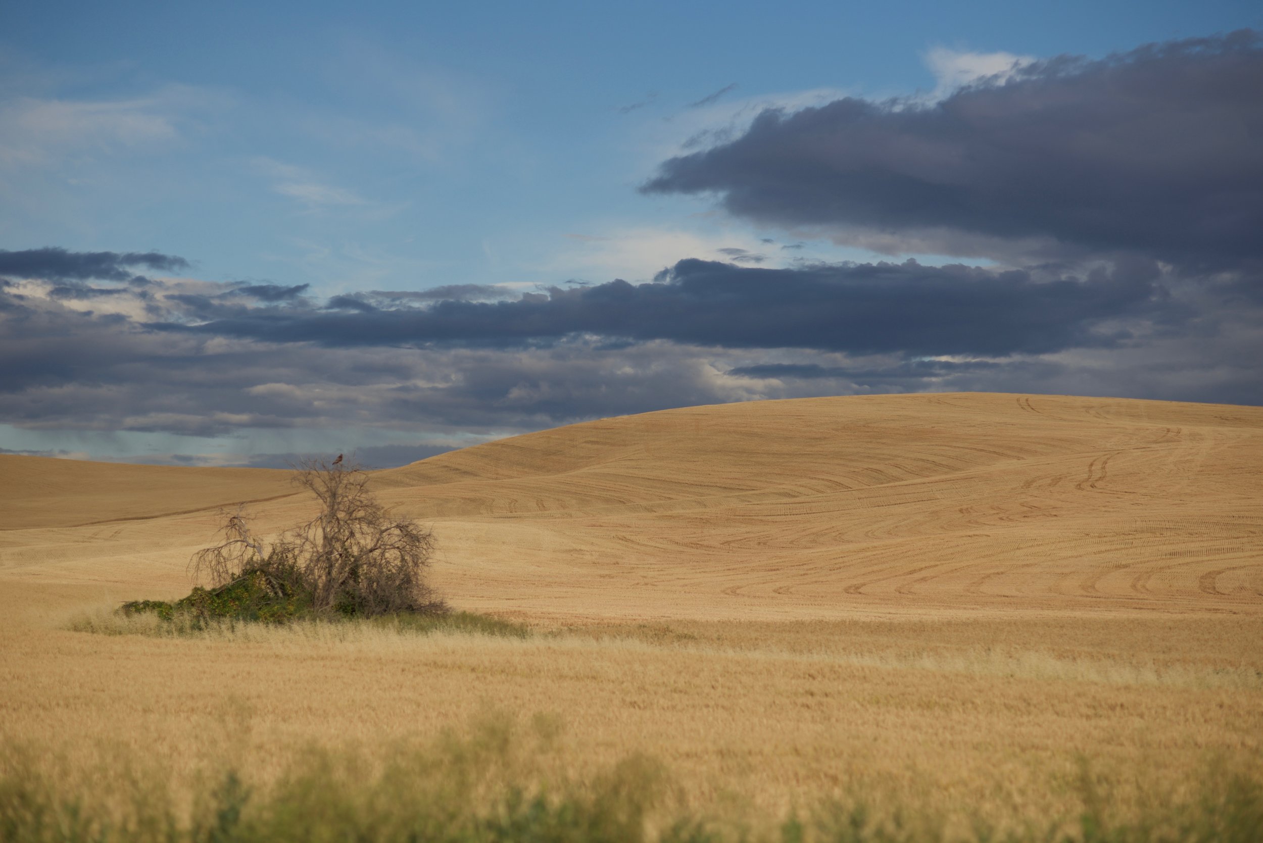 DSC_1226.jpg