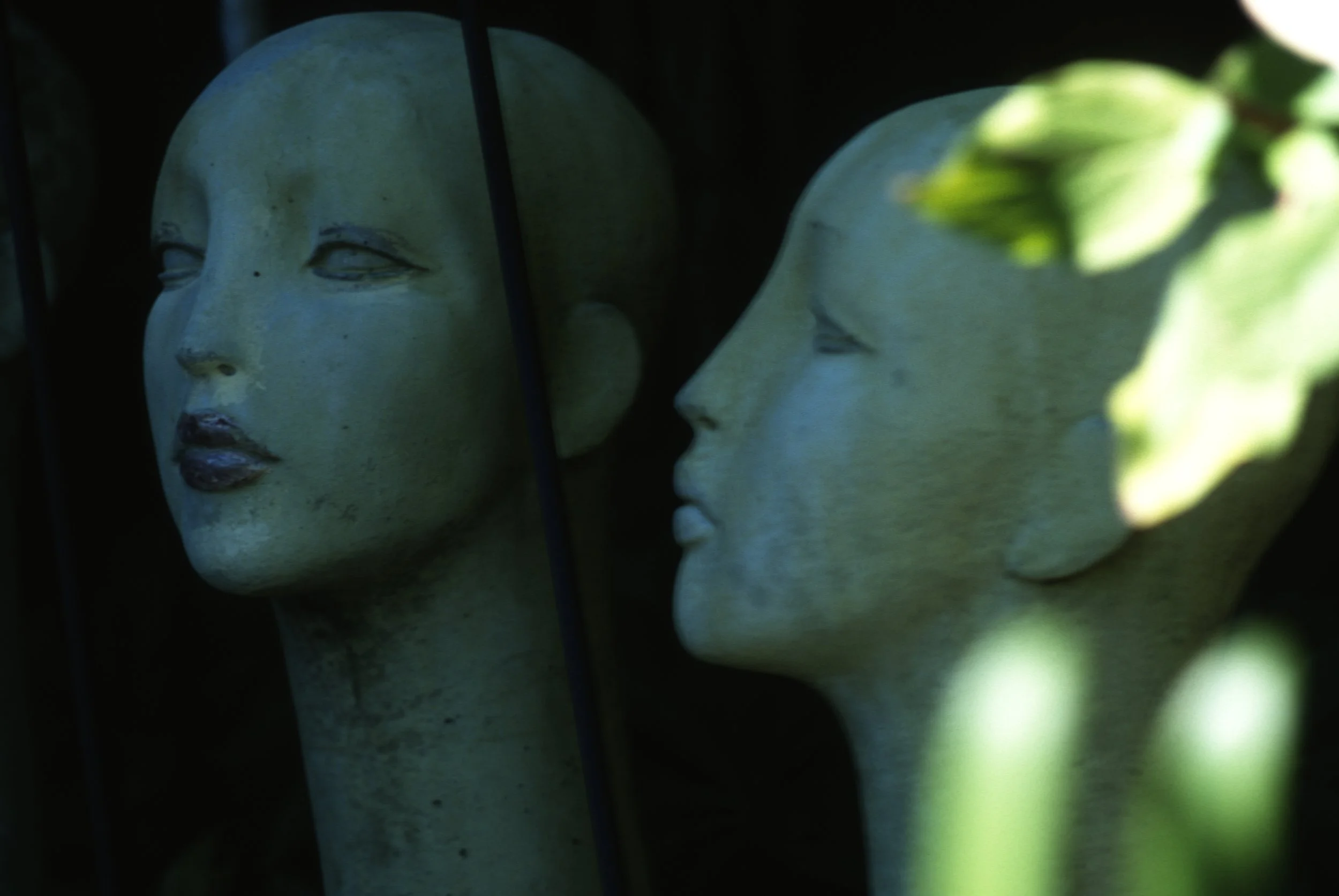 ladyheads.jpg