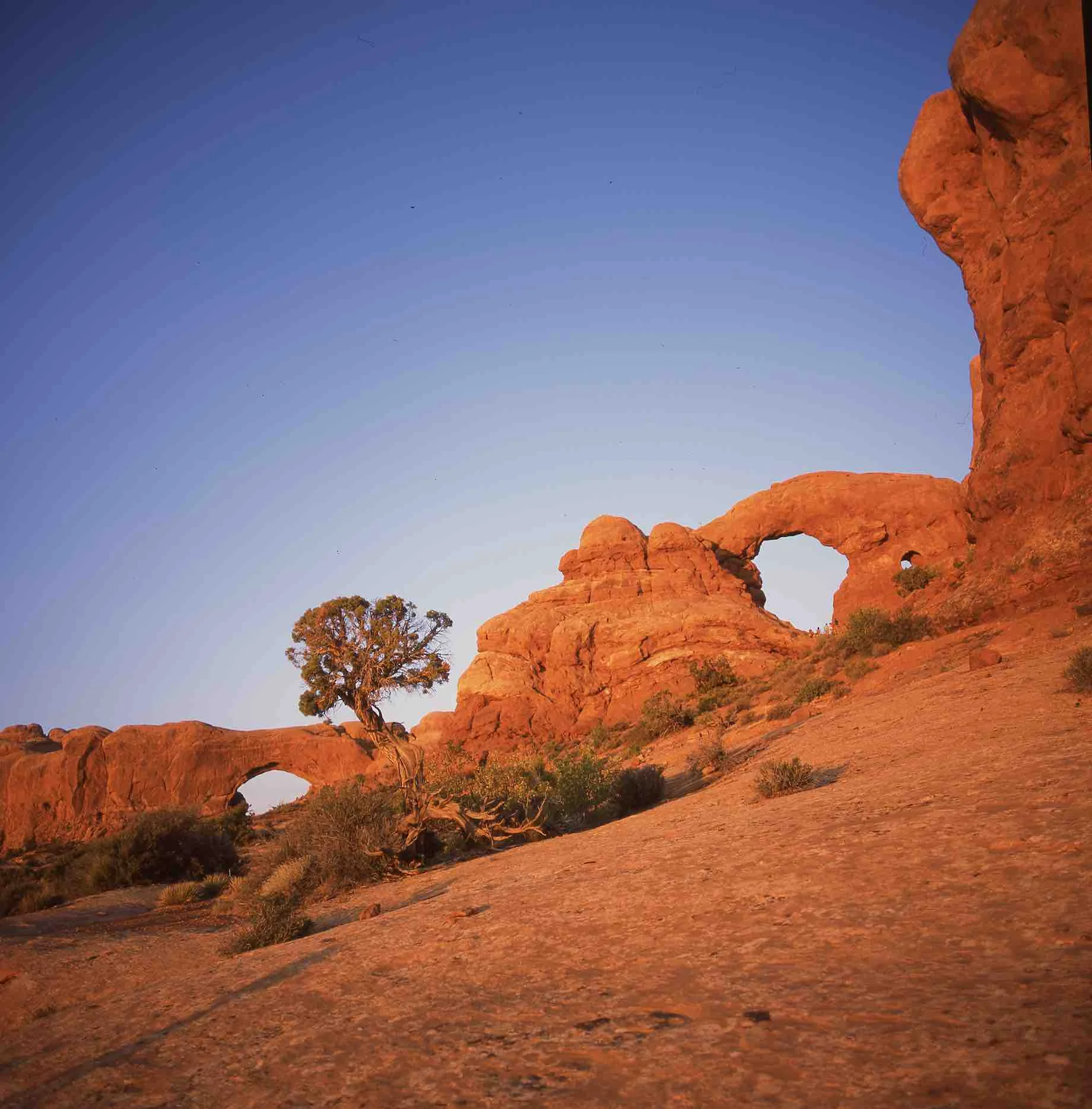 arches.jpg