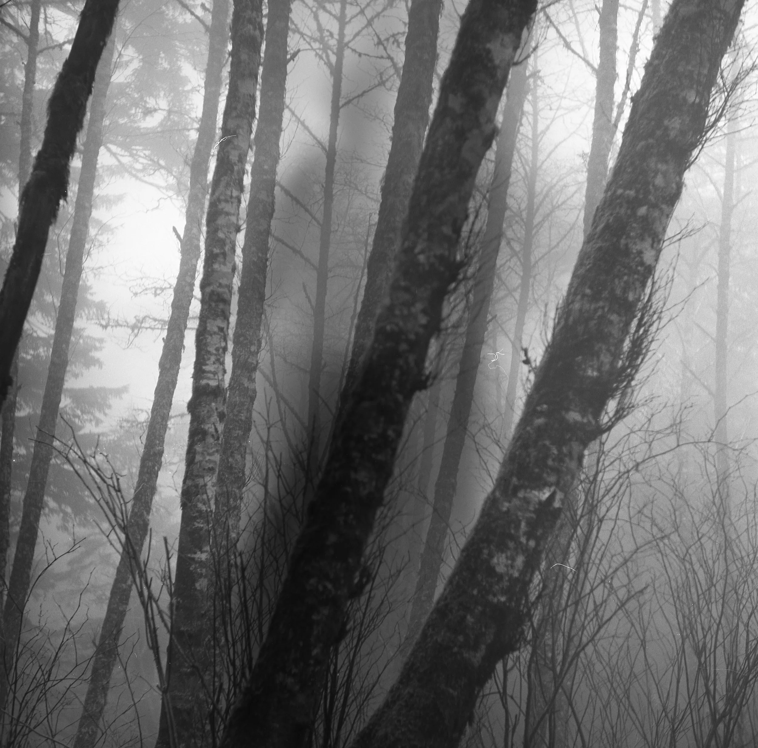 canonmorning044.jpg