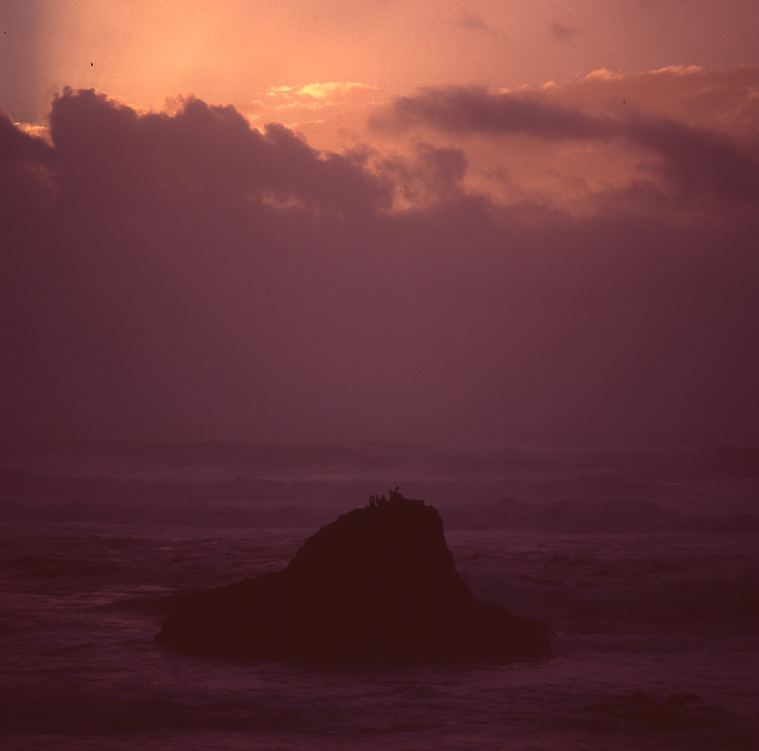 sealbeach050.jpg