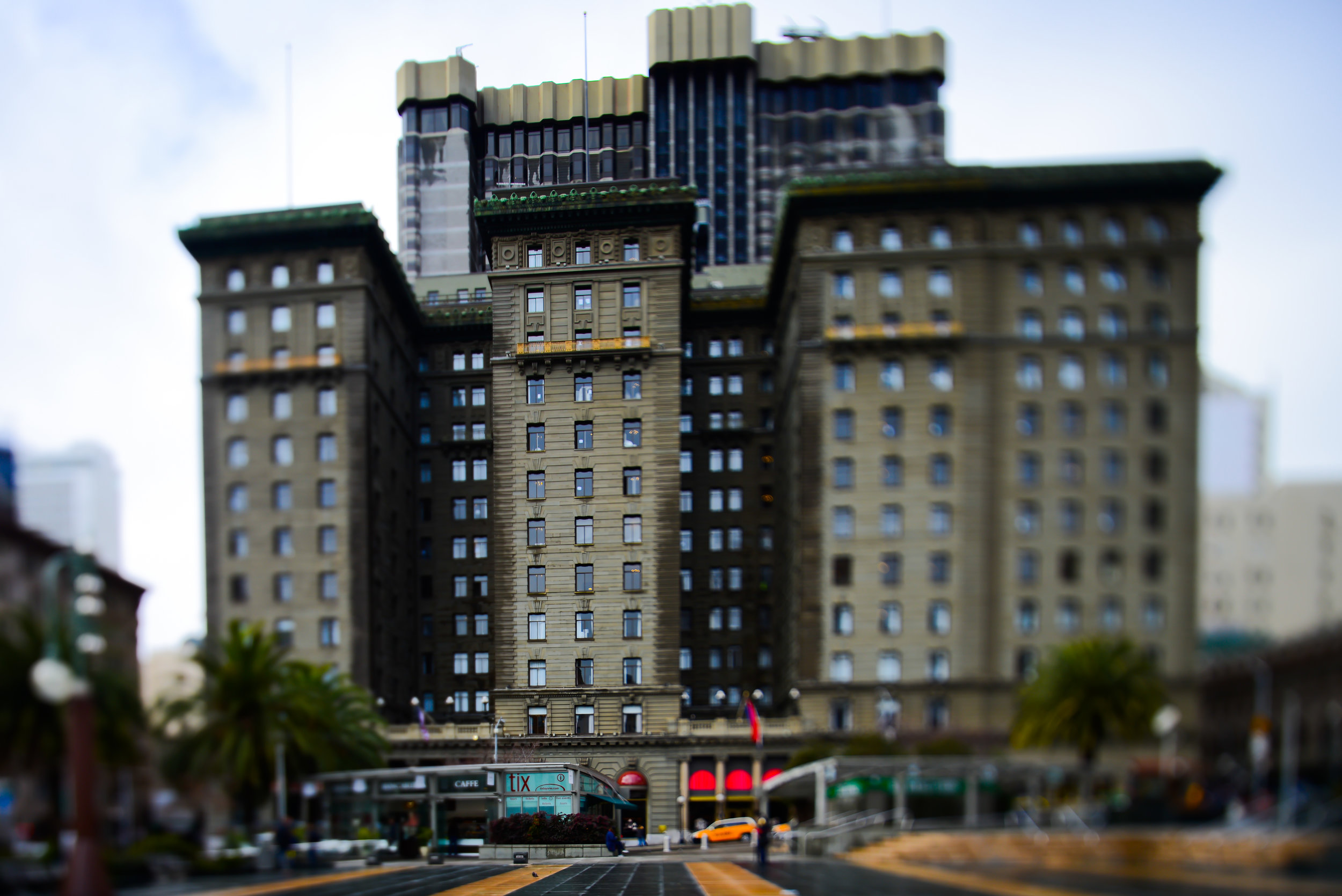 DSC_4255.jpg