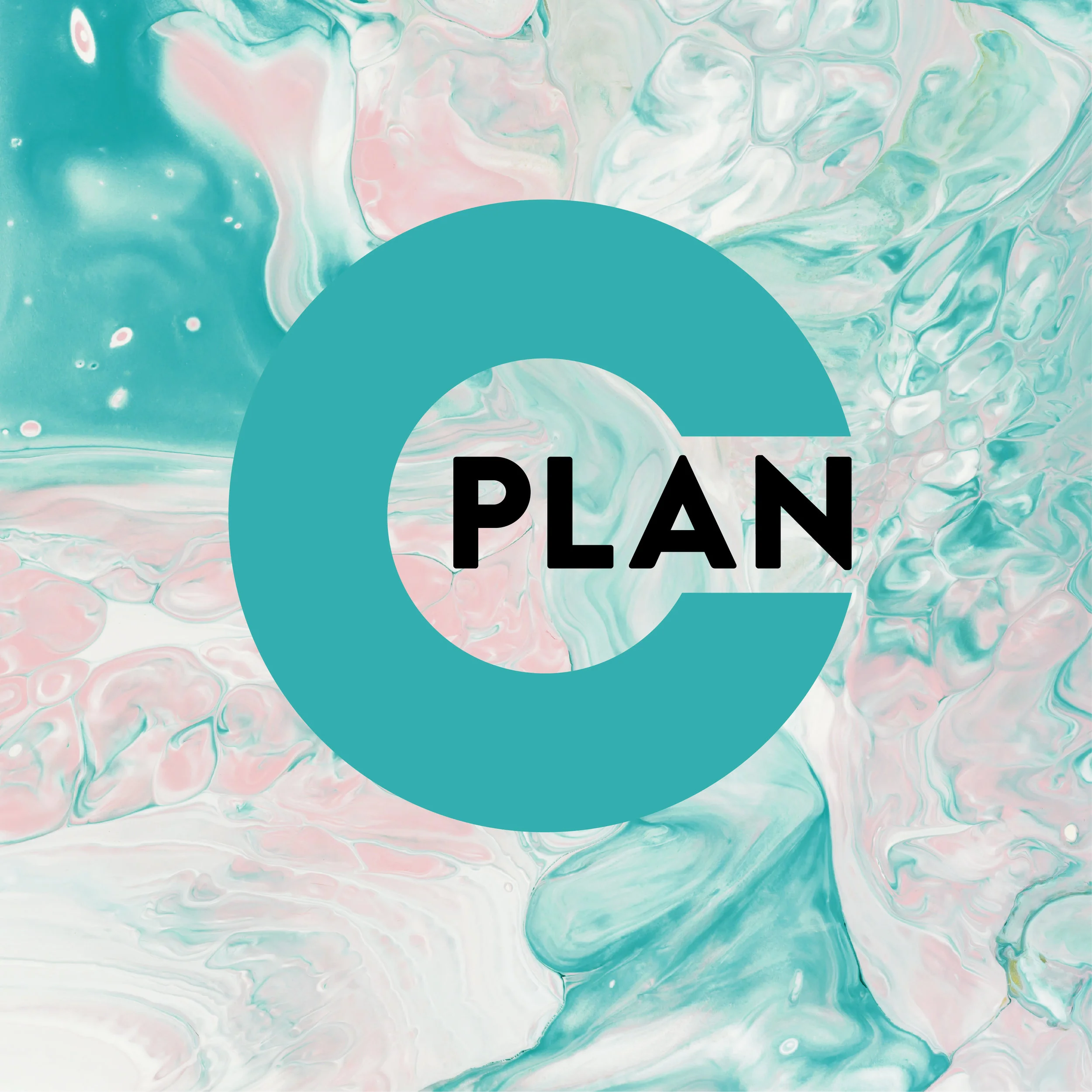PlanC2.jpg