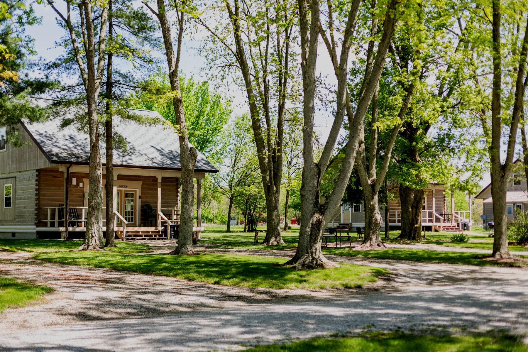 Luxury Cabins — Lithia Resort