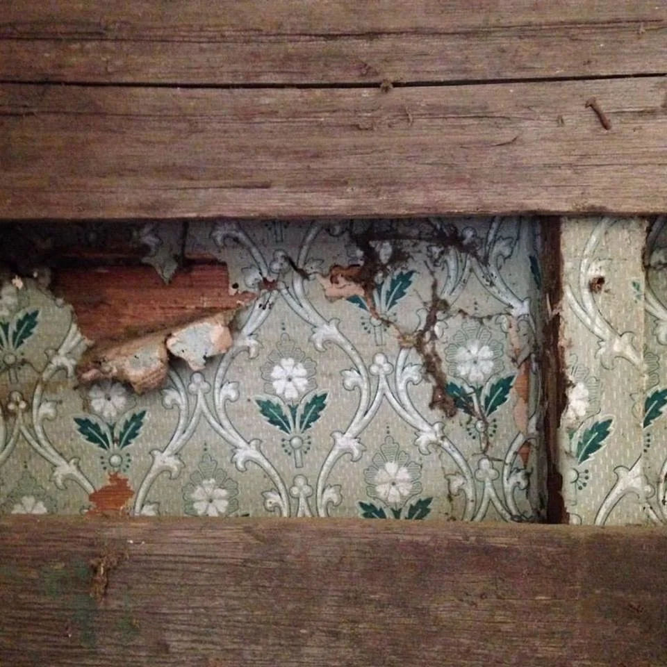 Mural Archaeology: Exploring the Hidden Wallpaper Layers of Oatlands