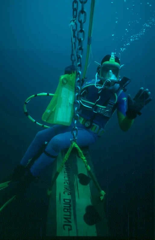 Out of the Depths and into Museums: Wrecks, Relics and the Occasional Bit of Drama