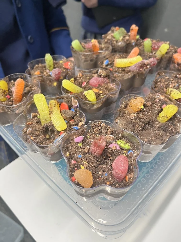 Dig sites - Yr 9 History Elective.JPG