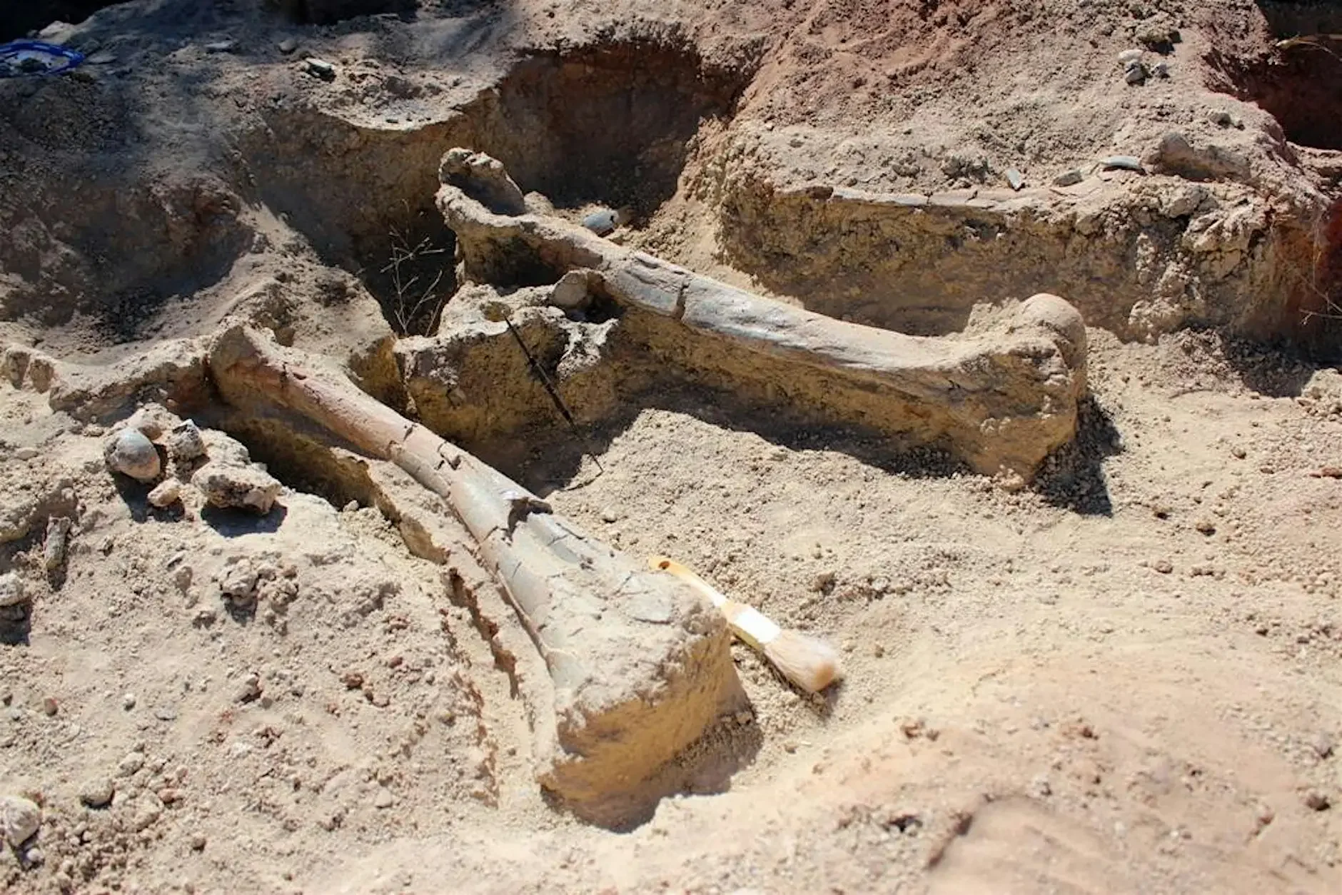Sunday Funday: Do You Dig Archaeology?