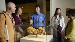 Melbourne History Tour