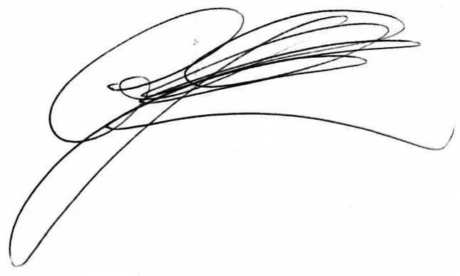 CJS Signature009 (1).jpg