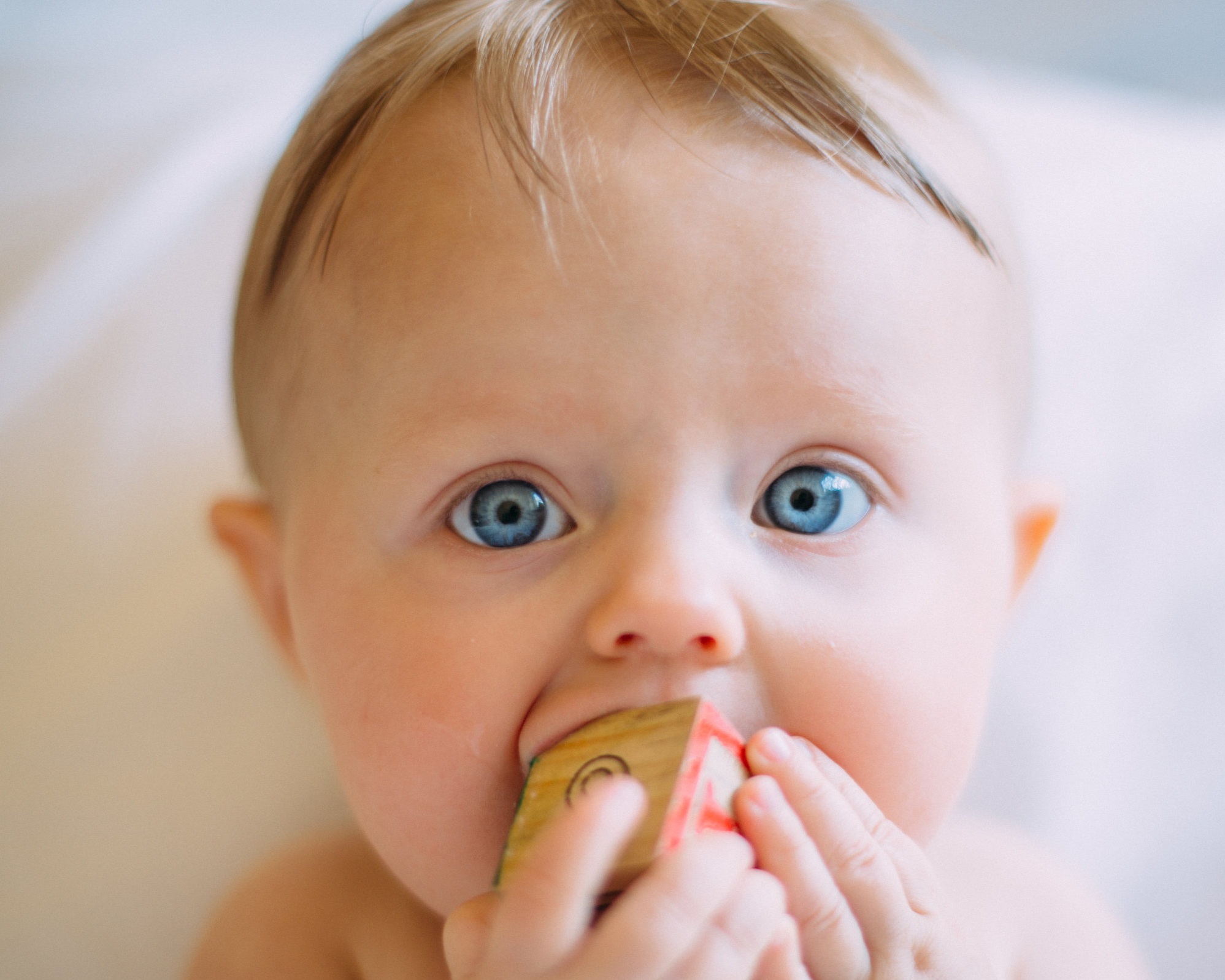 A cute little adorable baby eating forbidden knowledge, what could go wrong, right?