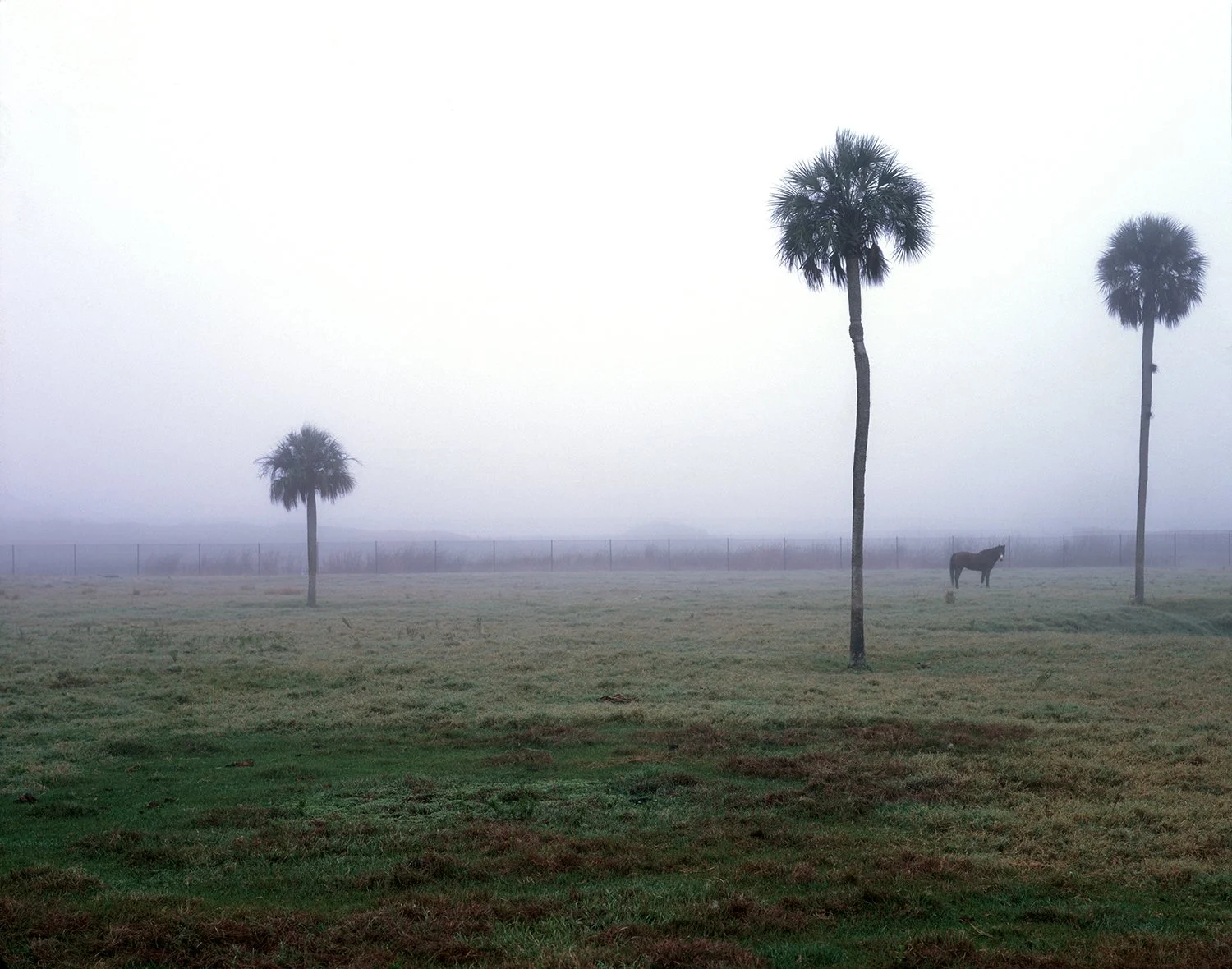 Florida 3 5x4.jpg