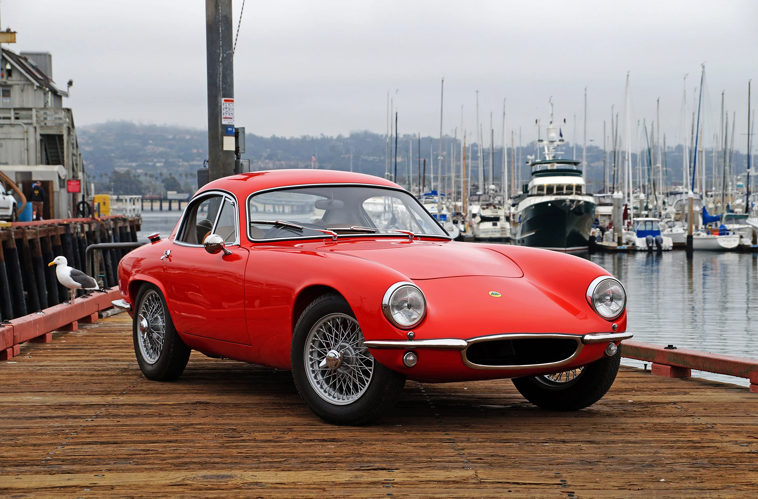 Lotus Elite Webpage Main.jpg