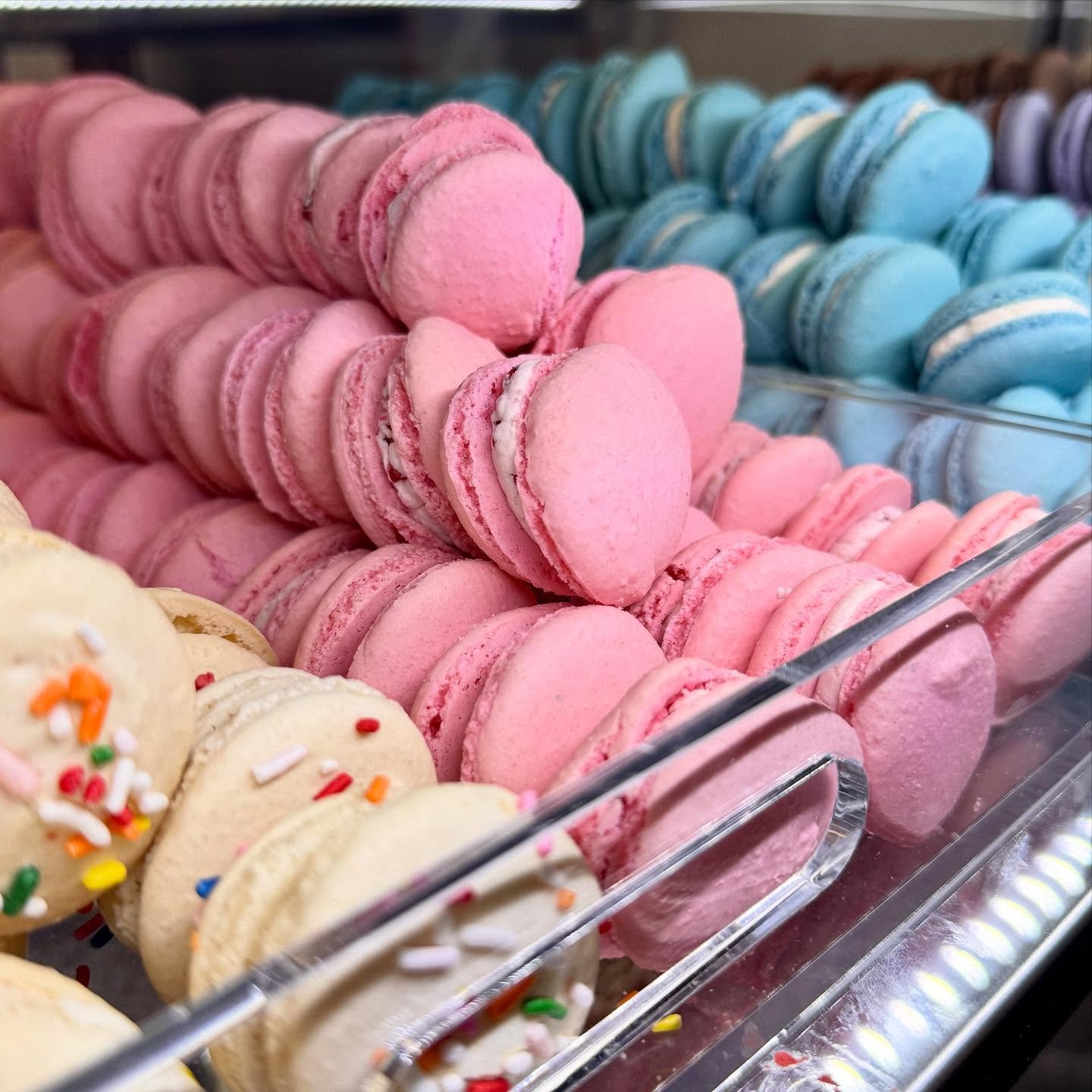 macarons.jpg