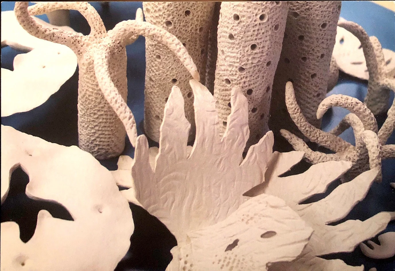 Extinction Signals of Alarm at Wilmer Jennings Gallery at Kenkeleba  March 19-May 6, 2017