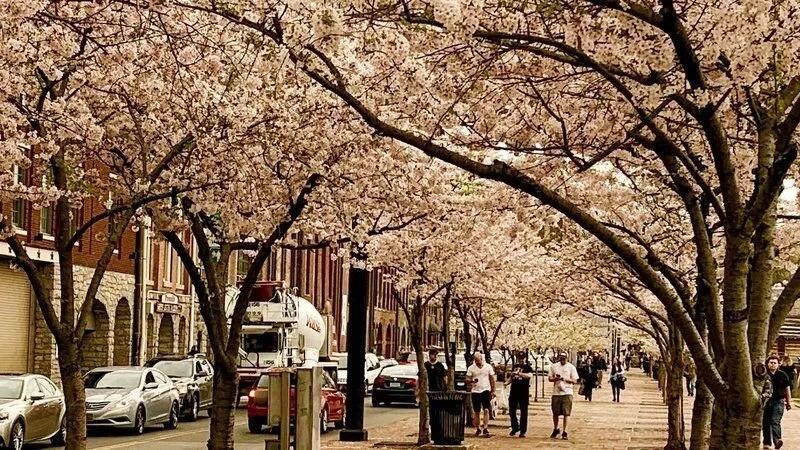 Yoshino - Street.jpg
