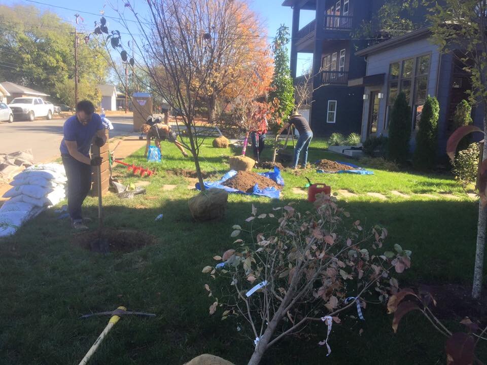 Glenview Drive Tree PLanting.jpg