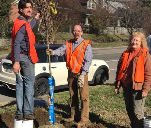Donate a Tree  Nashville Tree Conservation Corps