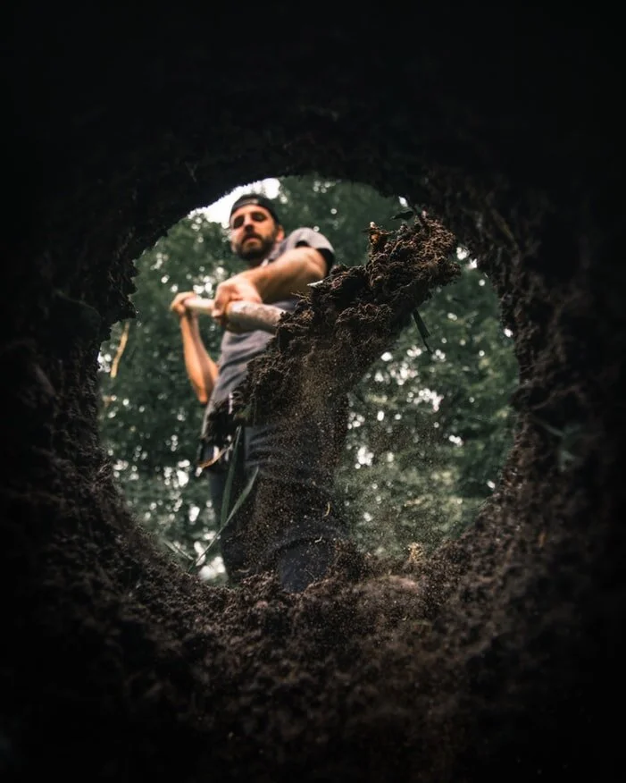 Tree Planting Service.jpg