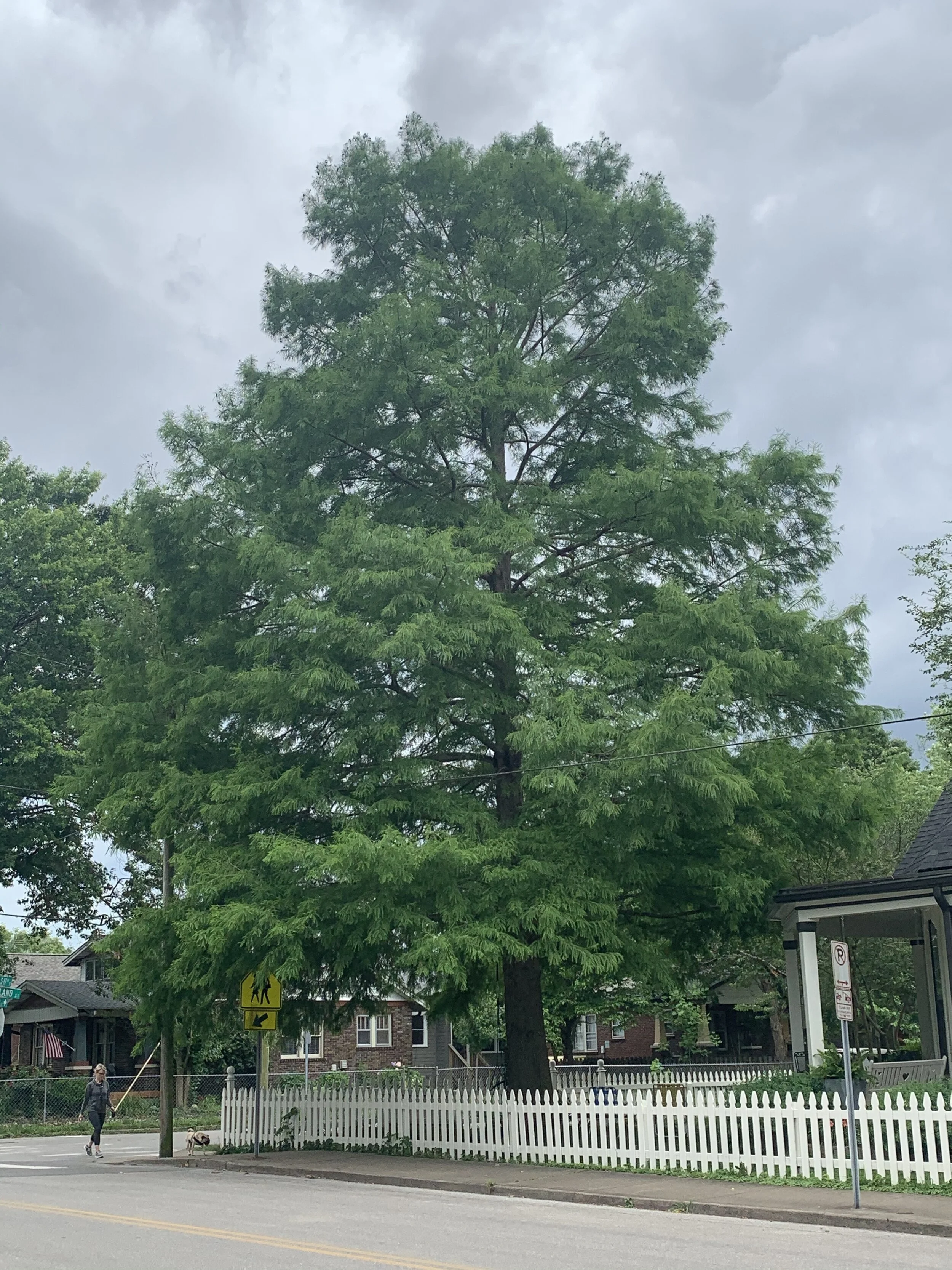 2FDD8BF3-C5B2-48F1-AD74-0177604CDC41