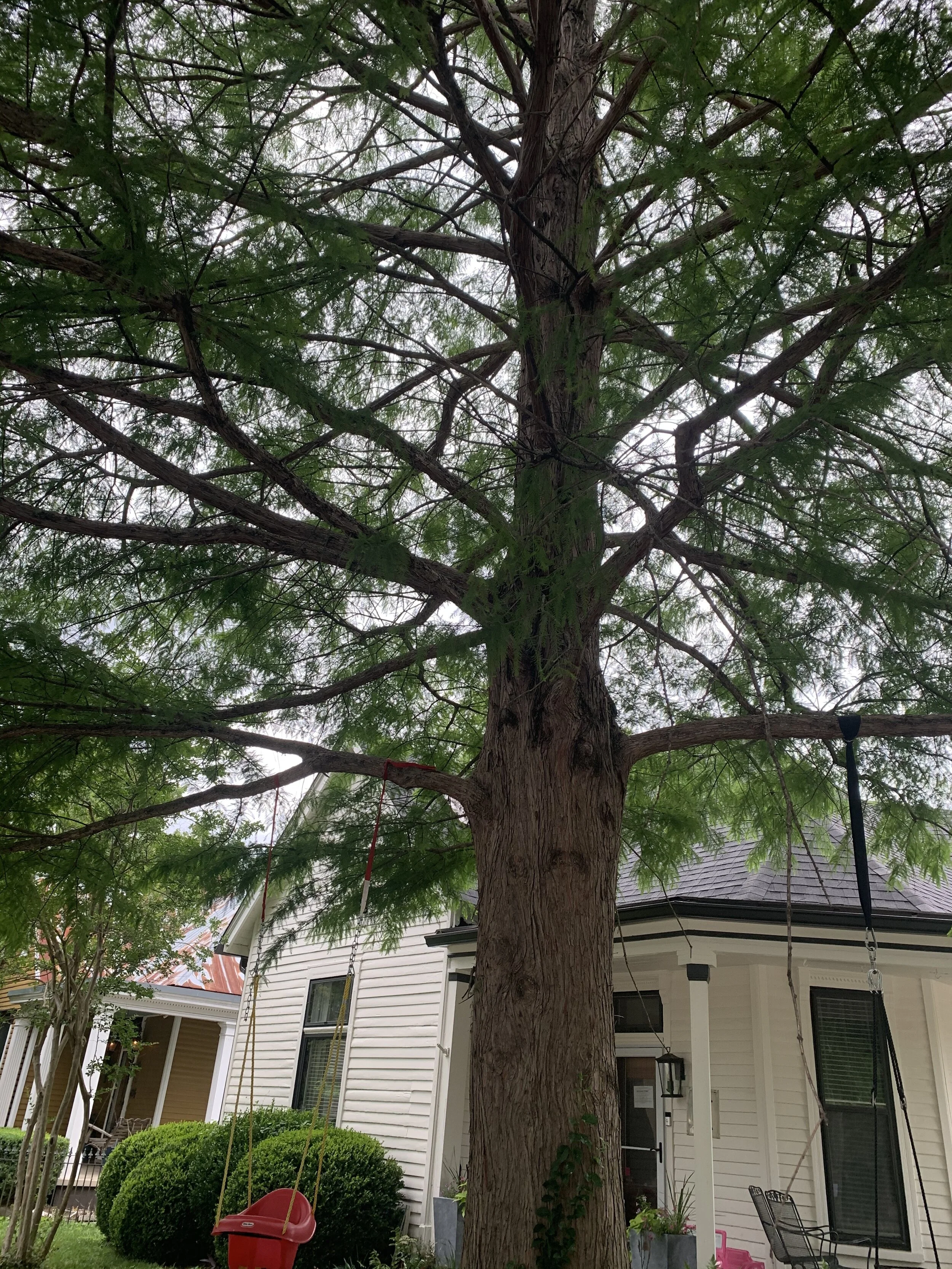 A99C4002-E958-4371-BC19-167238838E3A