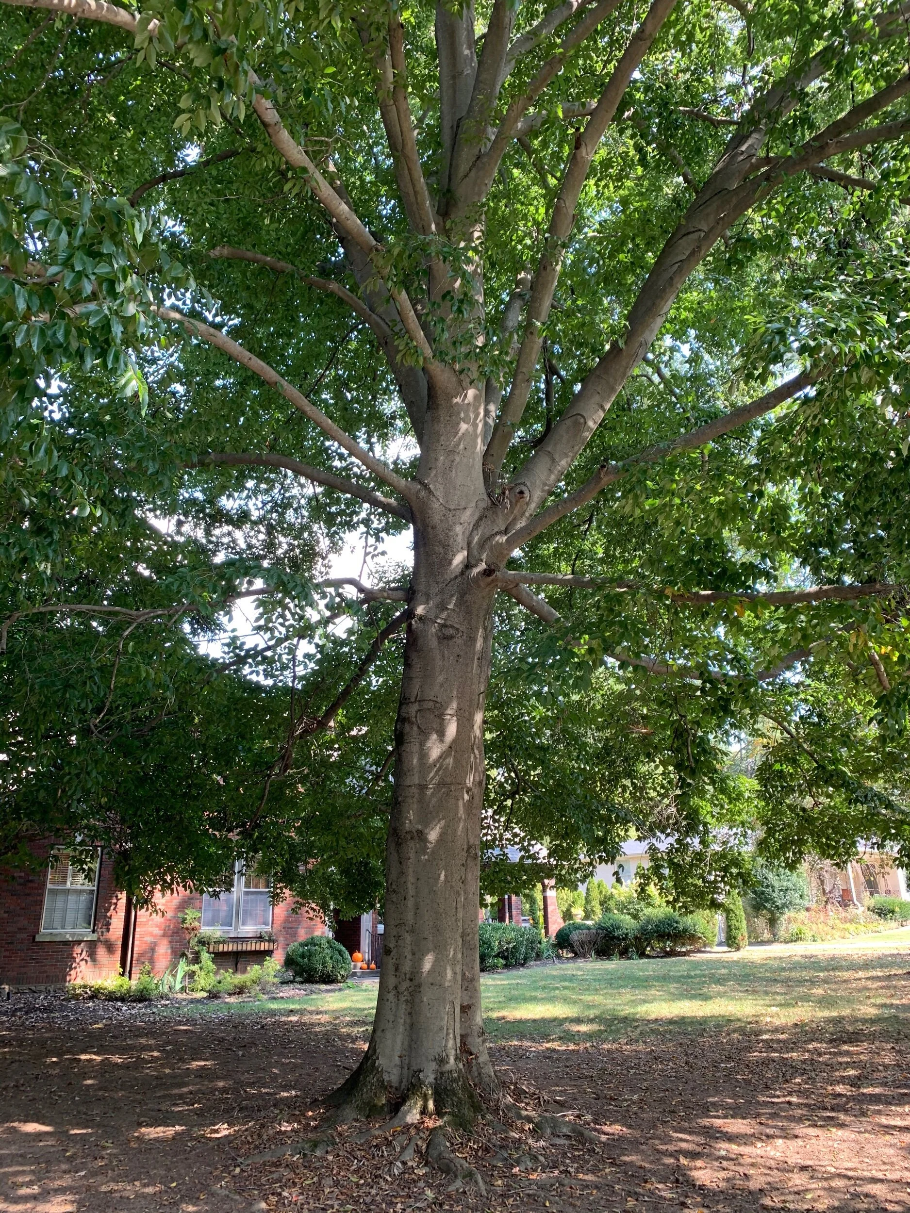 386F1808-4FDE-49B4-9971-22E4D6BF3779