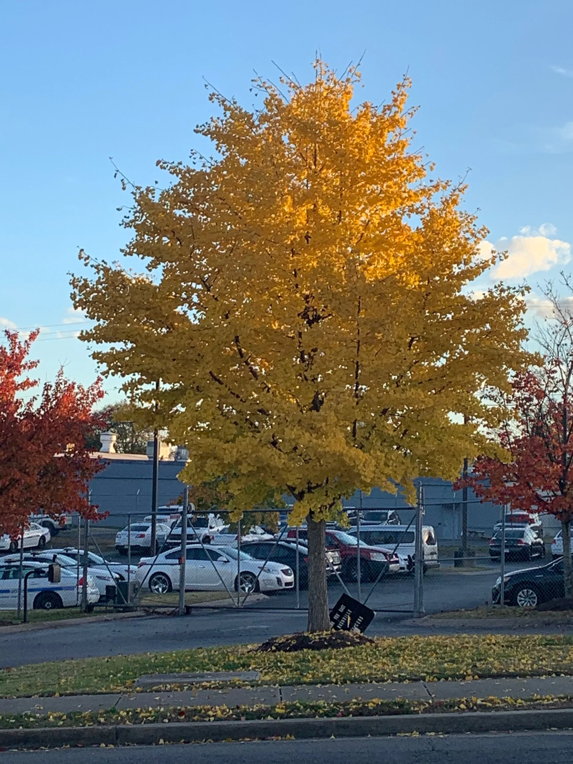 A30BF7D8-2FAB-4285-A24D-F19AE926C6E1