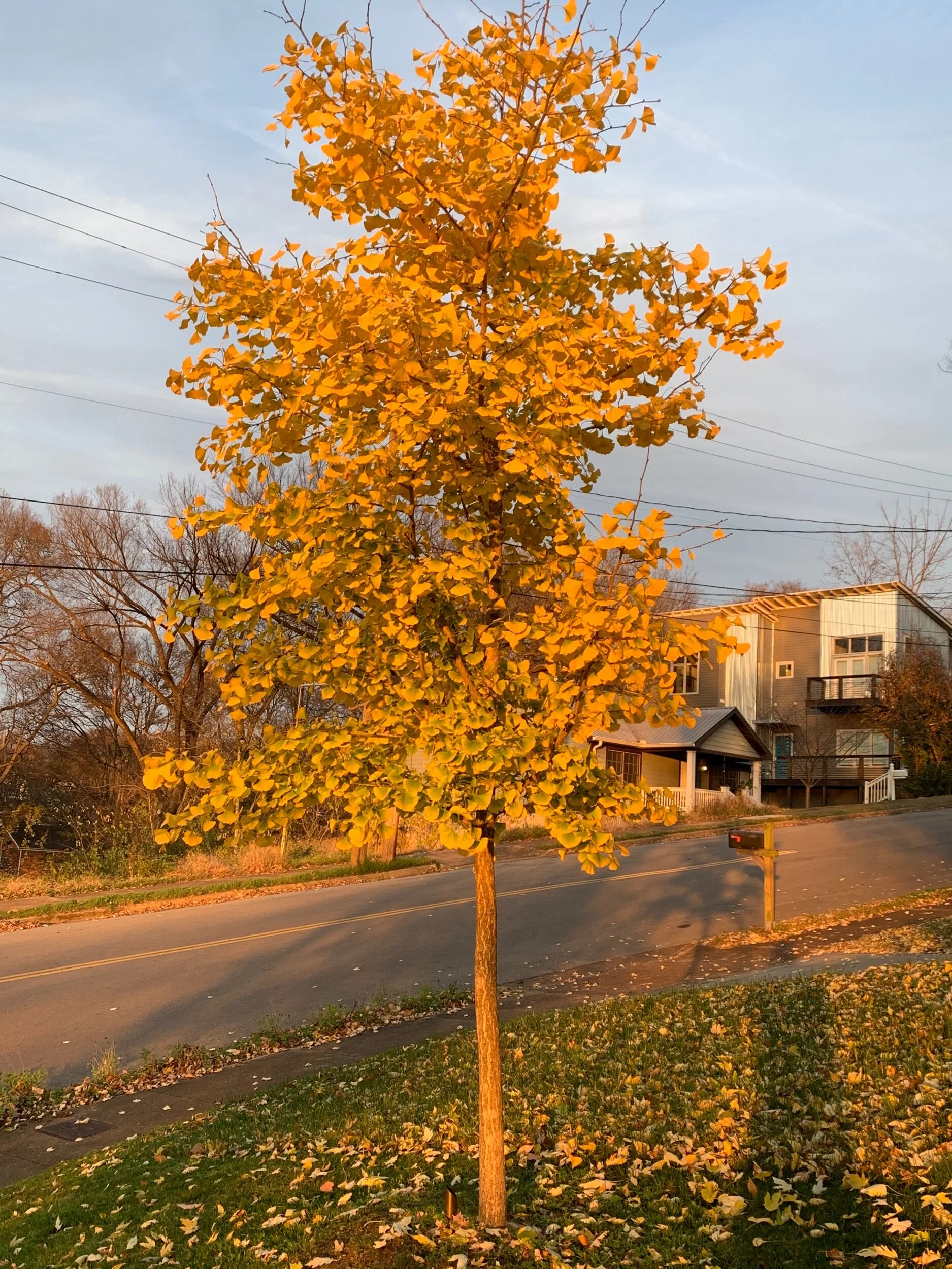 43D76CE4-7C63-4018-8DFD-A04504BDBC17