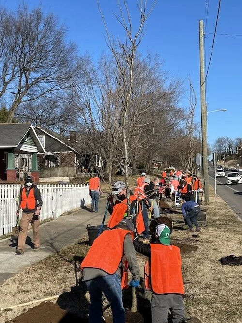 Shelby Avenue Planting