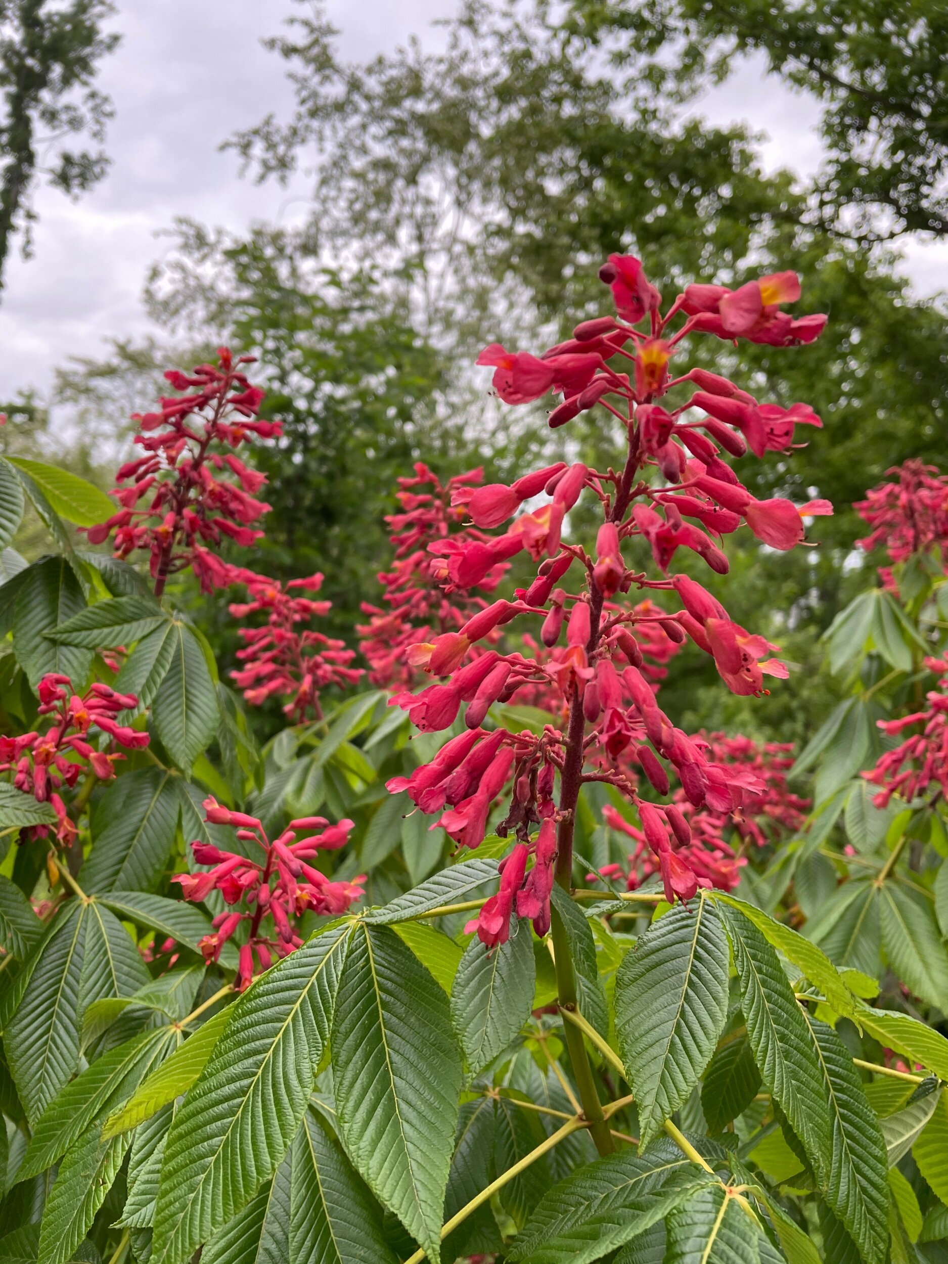 0C158606-26A5-4C96-8721-65B03EB64C64