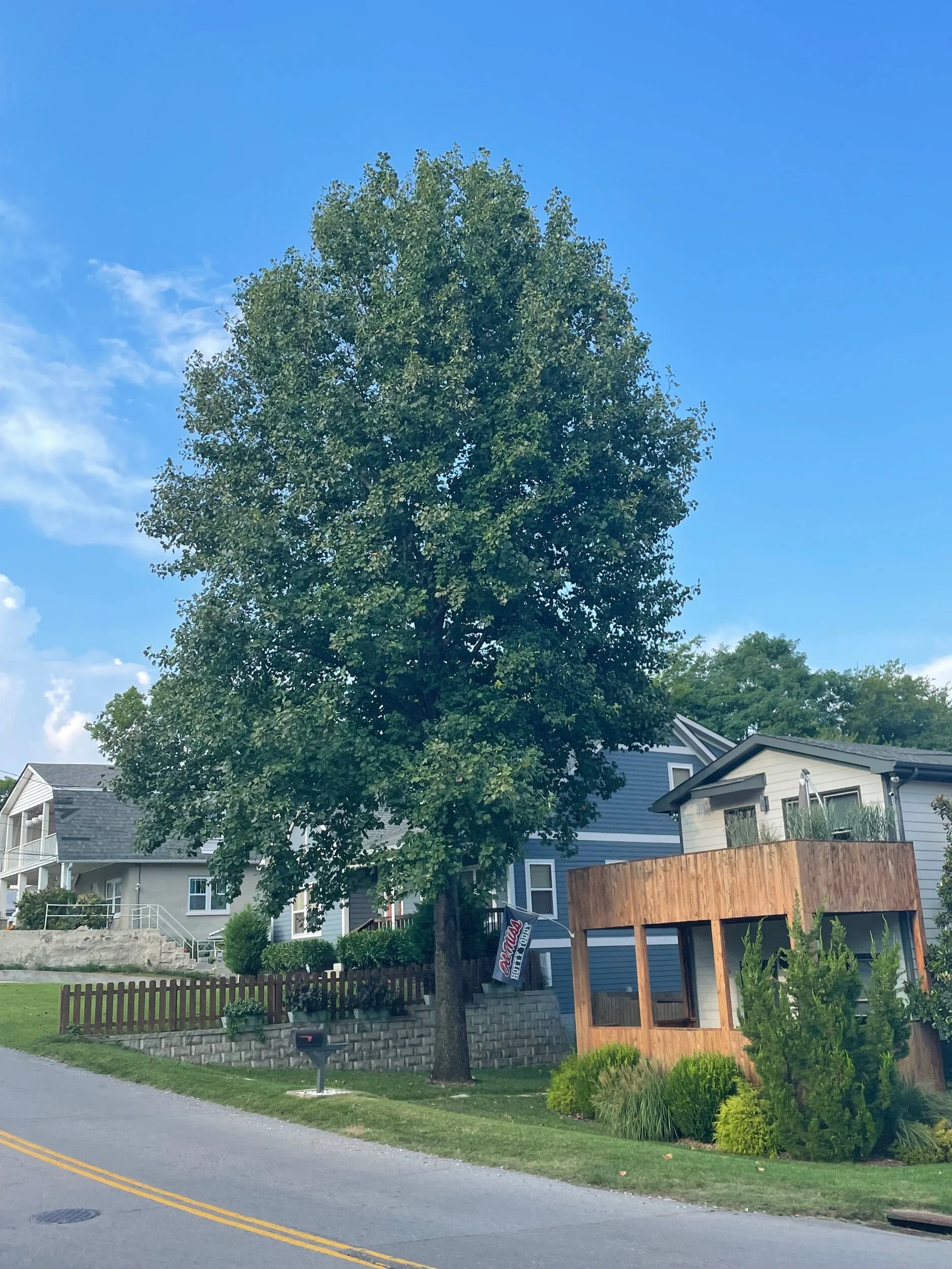 B932E001-875D-4304-B798-B4788BDF2C86