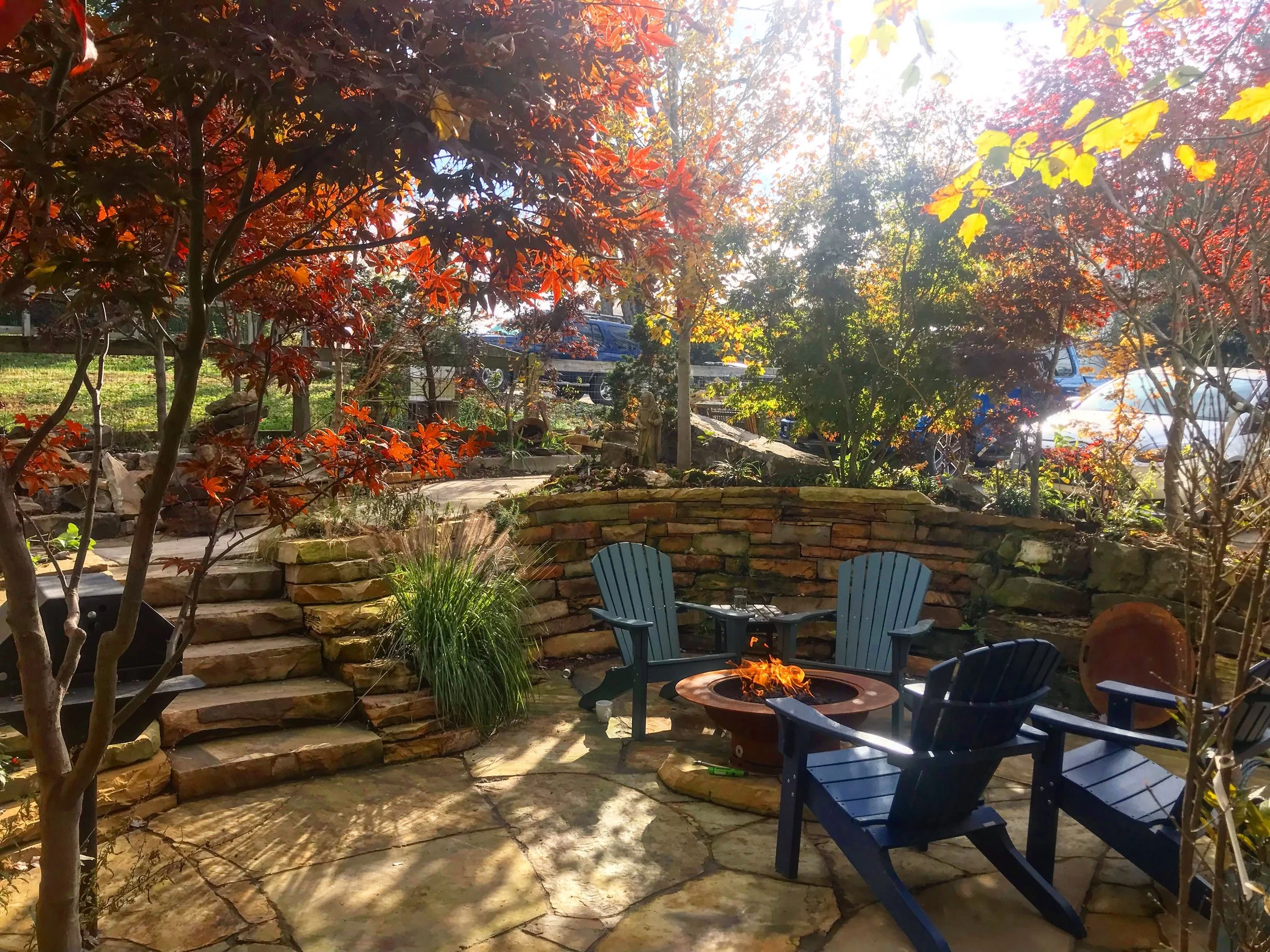 Exploring the Importance of Residential Tree Care