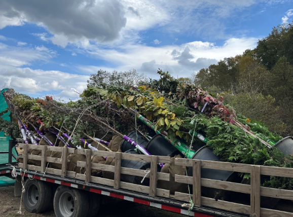 Give Back to Tennessee Trees This Giving Tuesday