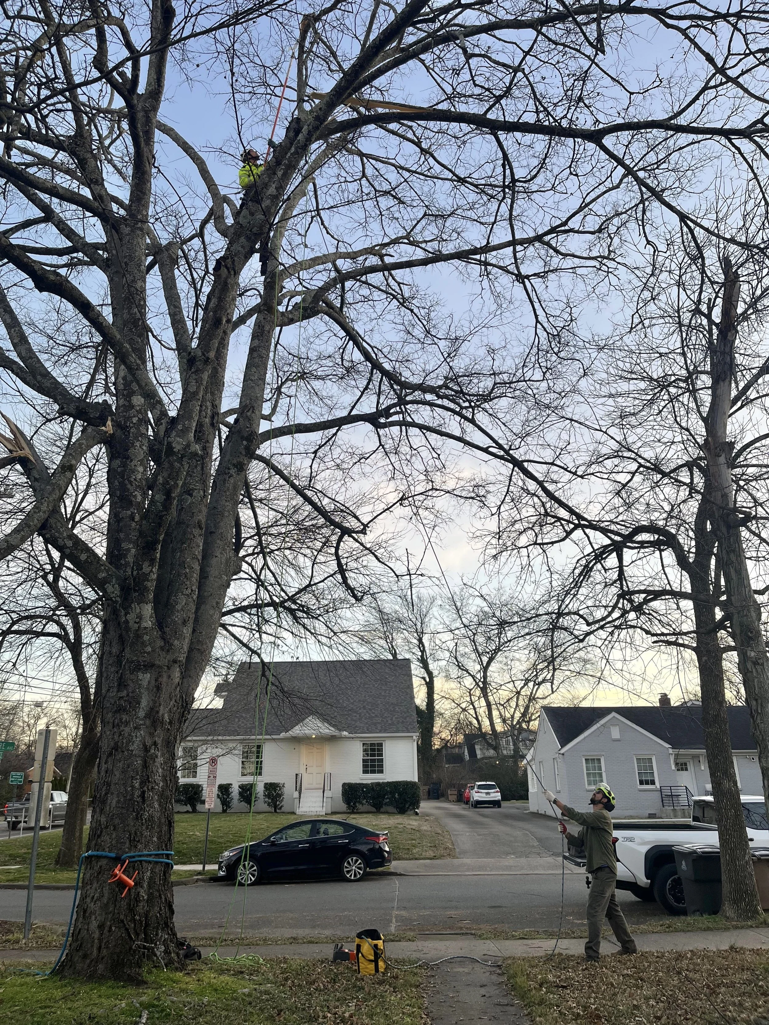 Winter Storm Fern Recovery in Nashville