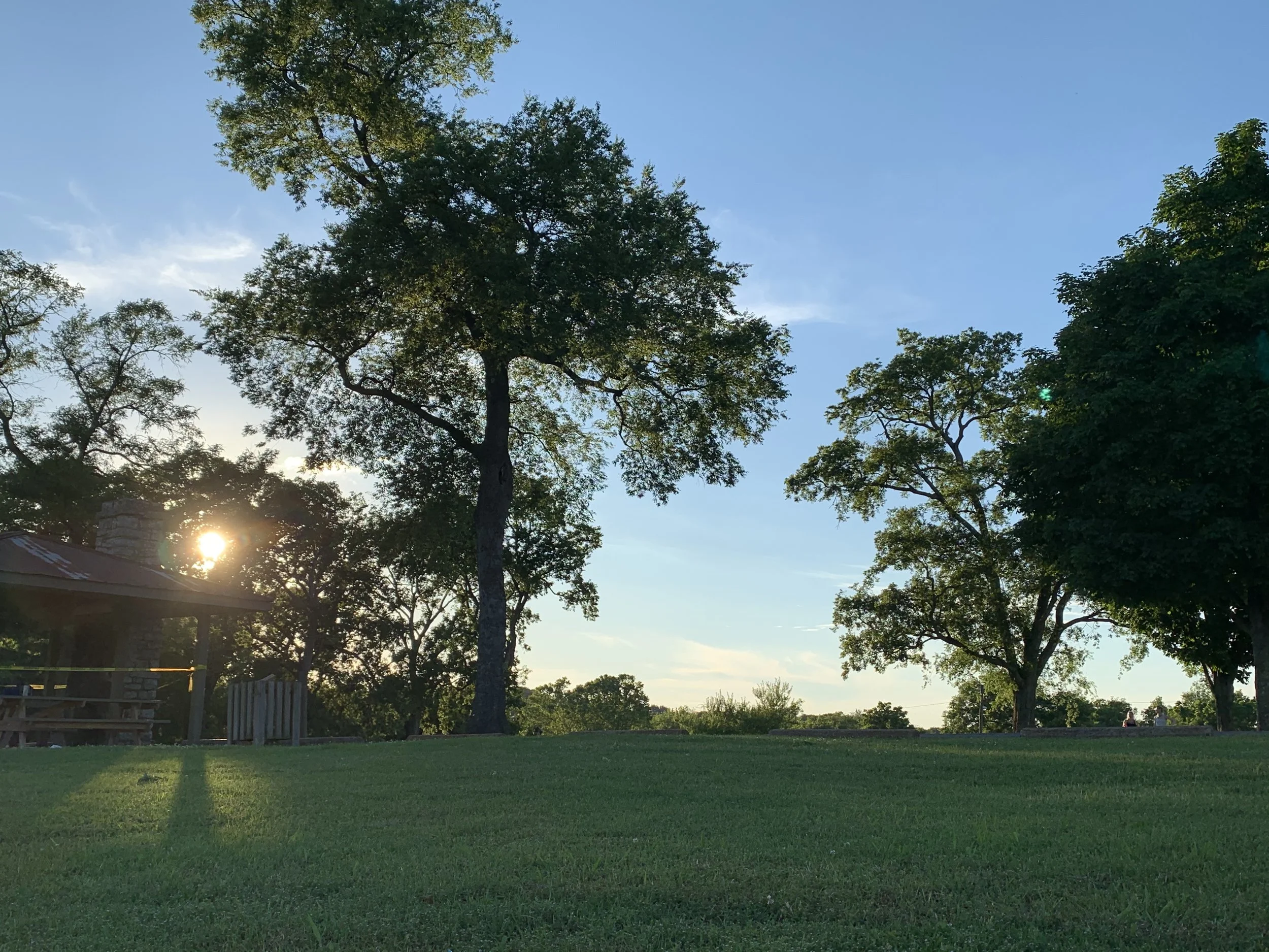 Here Comes the Sun: The Effects of Springtime Sunlight on Trees