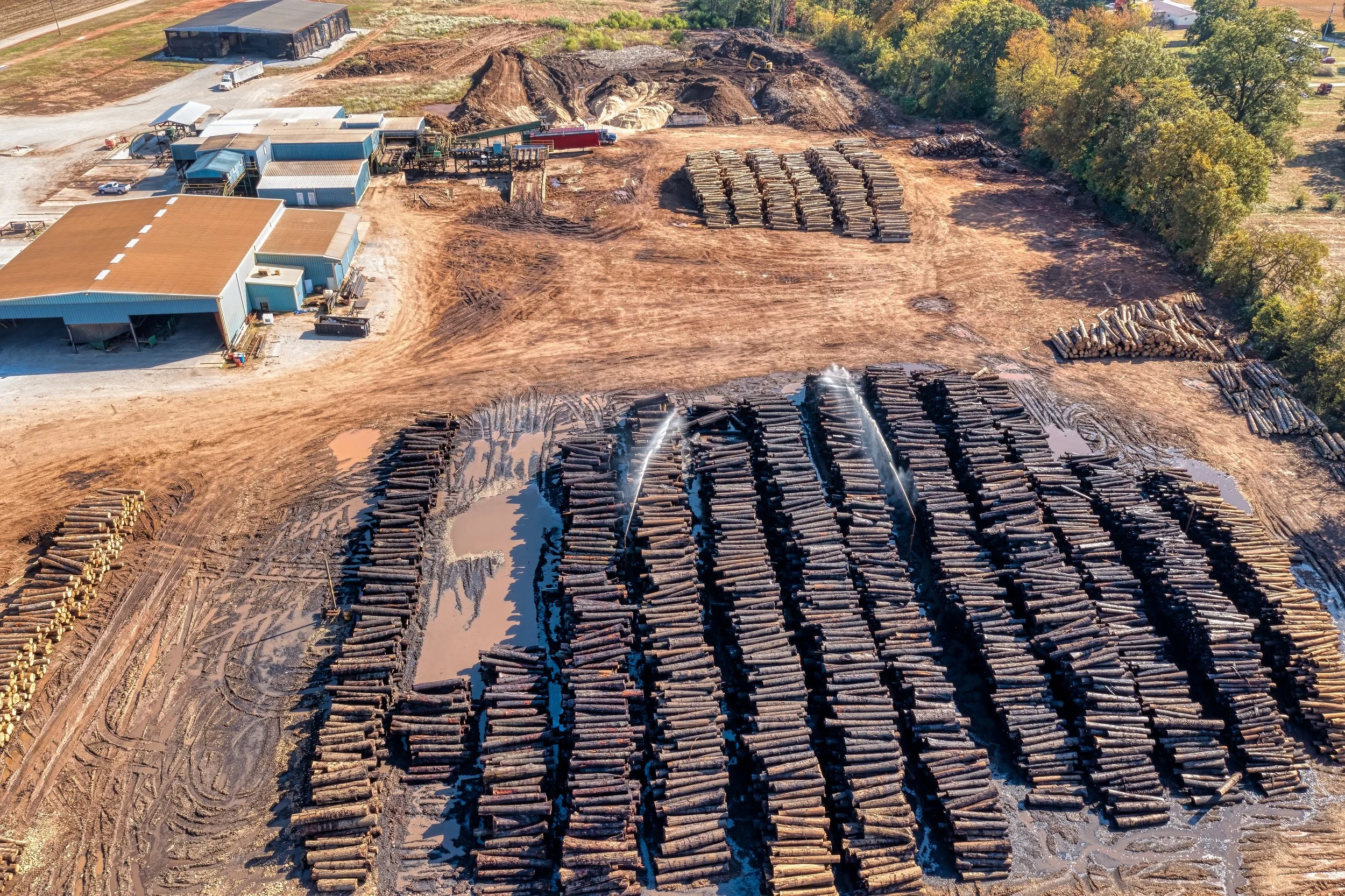 Logging in Tennessee State Forests: Exploring Management Standards and Strategies