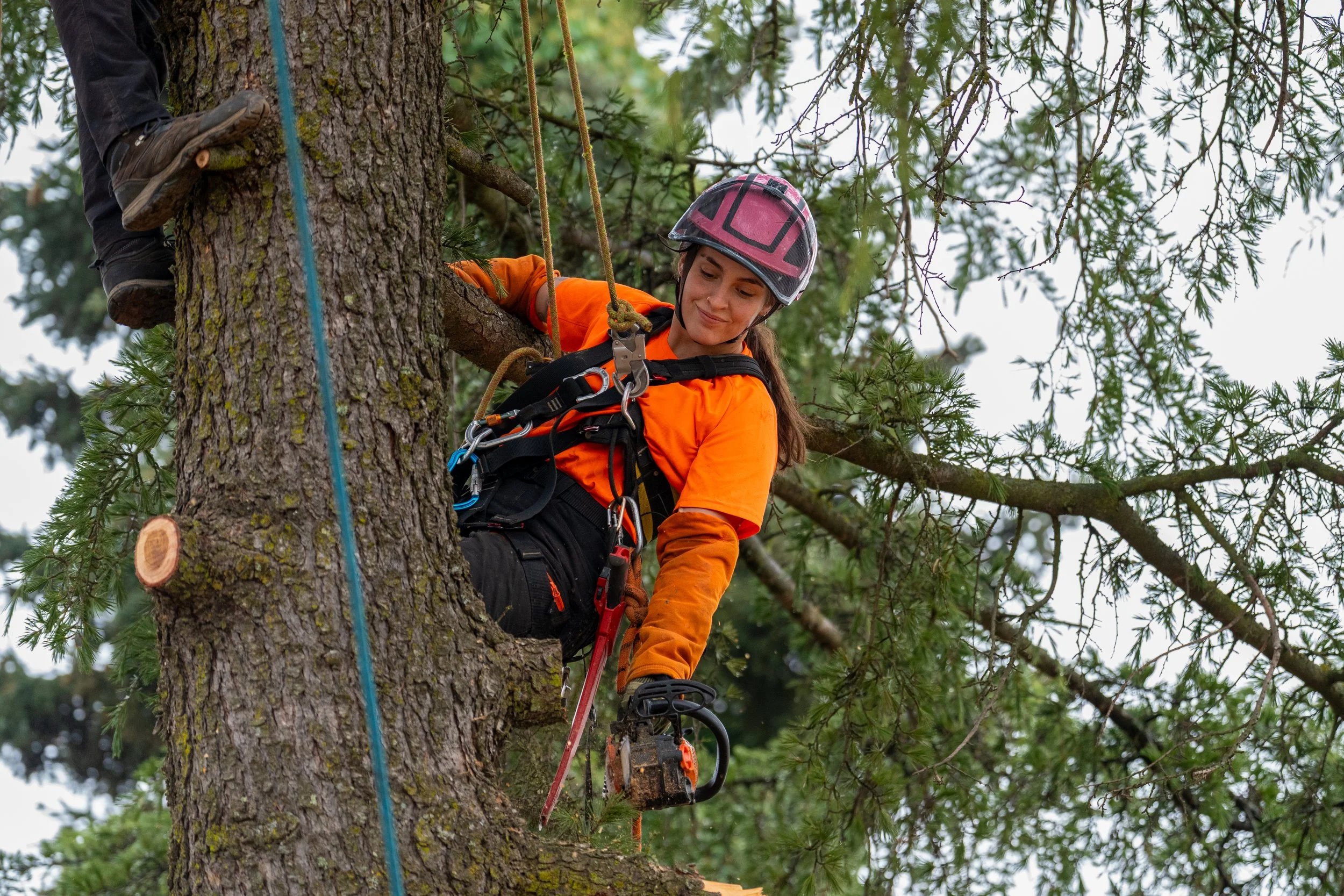 Working in Nashville's Urban Forest: Arborist Workforce Development