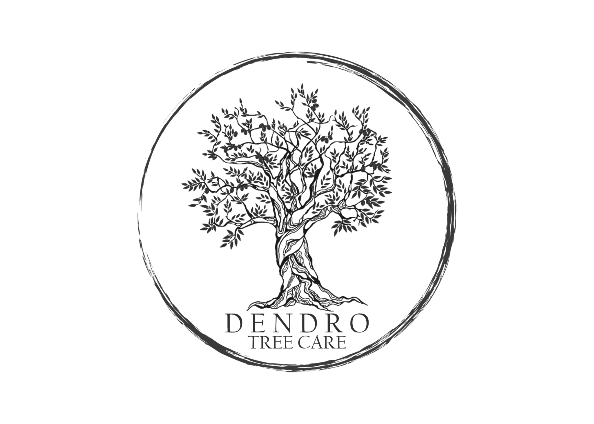 logo2.png