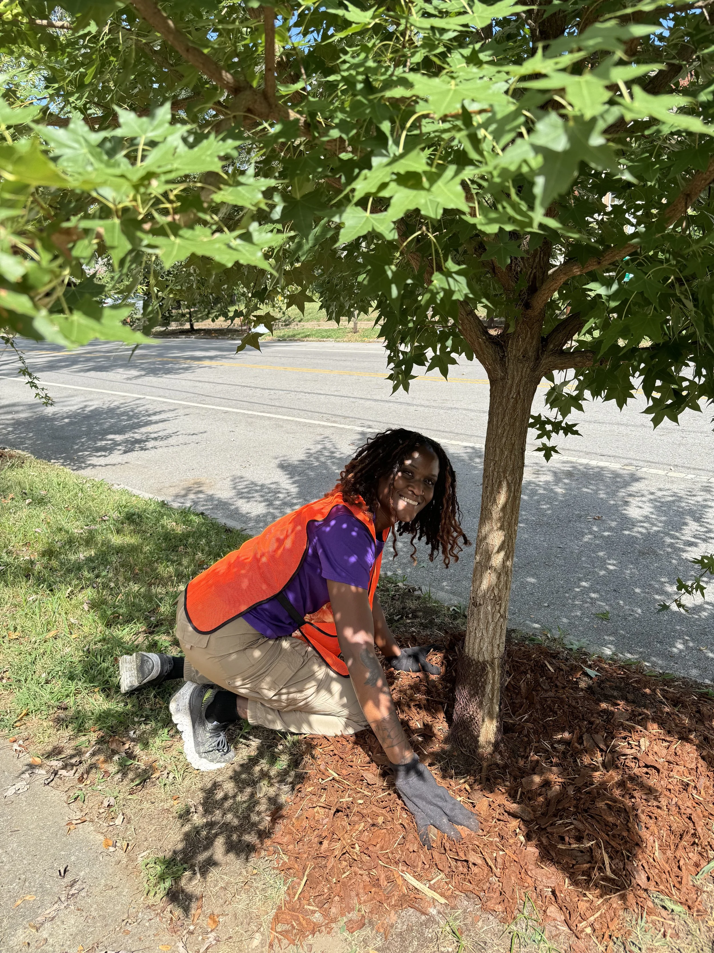 Stewarding Shelby Avenue Arboretum: Volunteer Maintenance Event