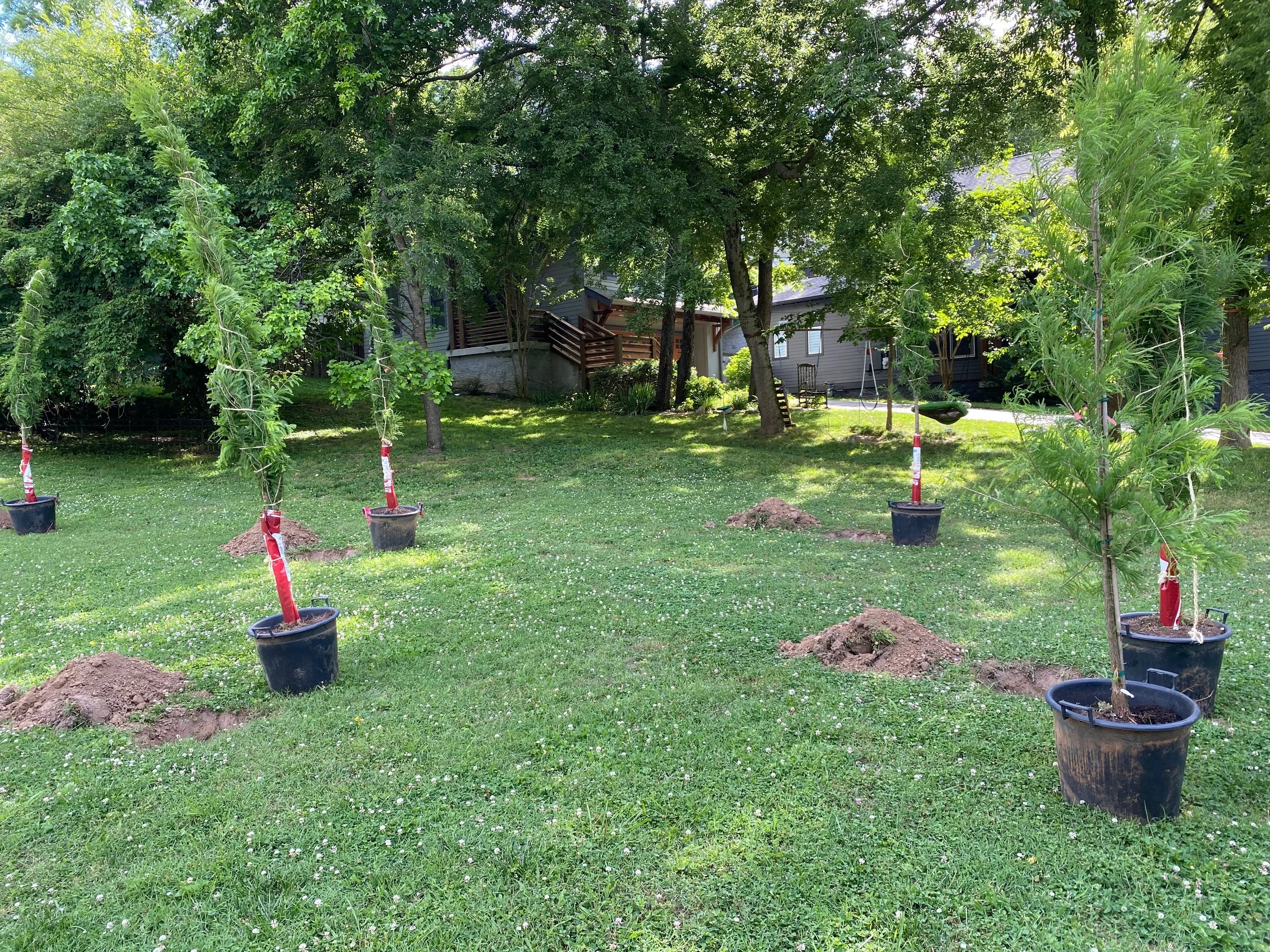 Succession Planning for Trees: Managing Tree Age Diversity in Nashville