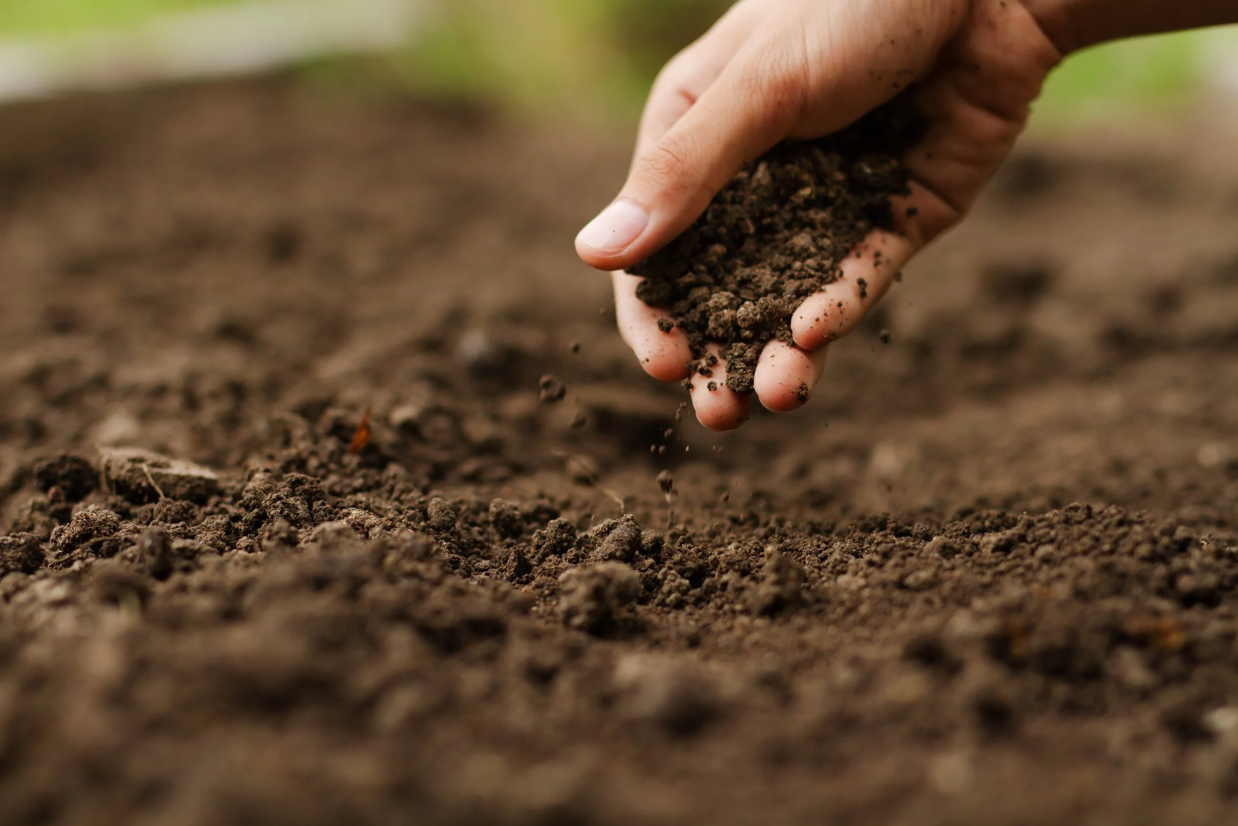 Organic September: What You Should Know About Organic Soil This National Organic Month