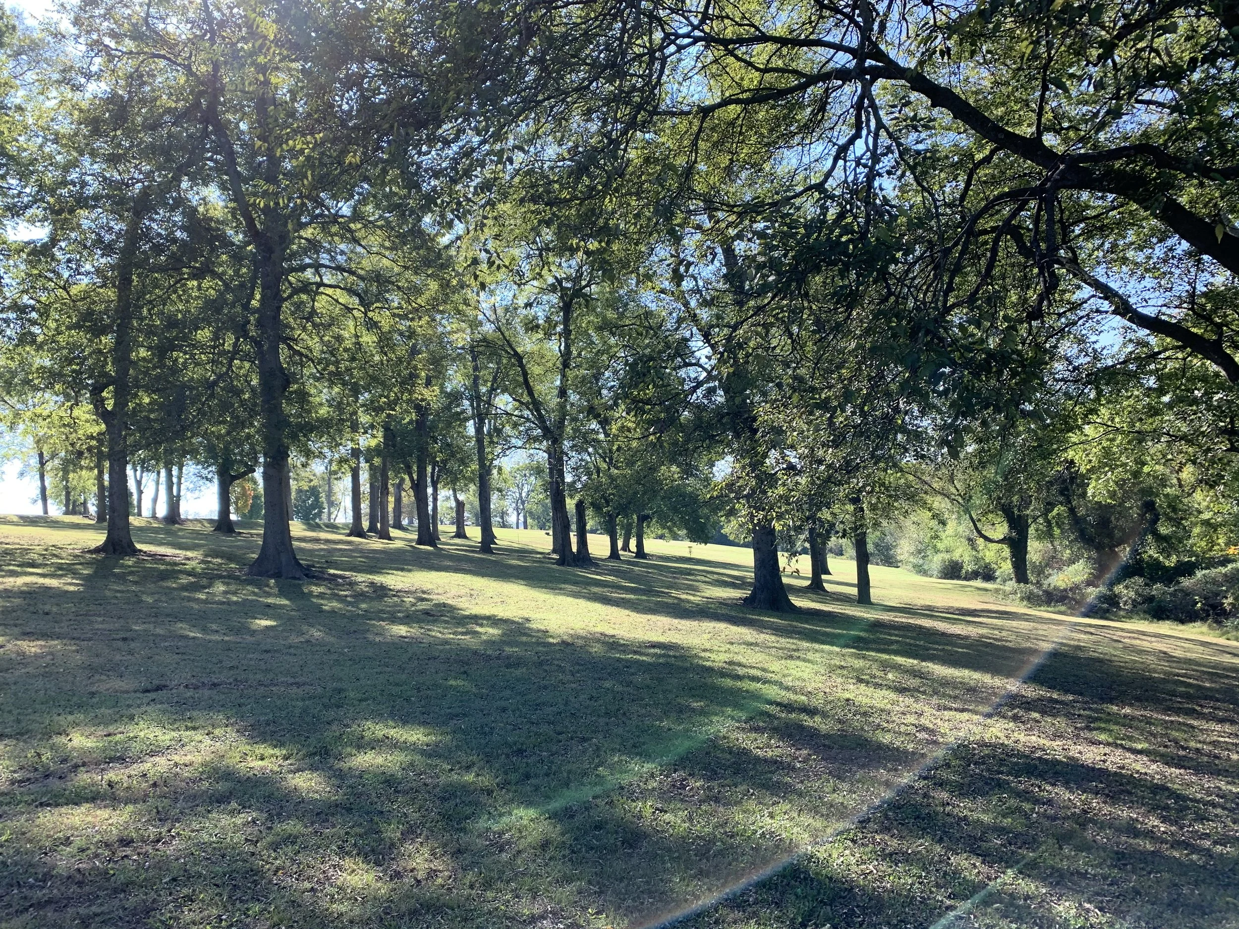 Nashville Tree Conservation Corps Shade Report