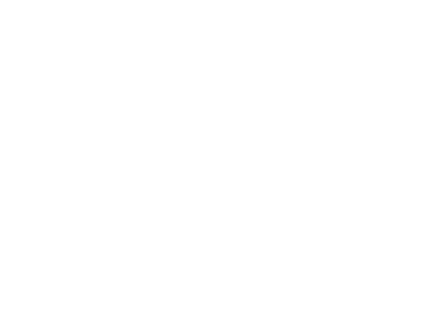 Bobbi Brown.png