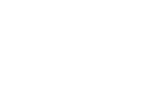 Disney Television Animation.png
